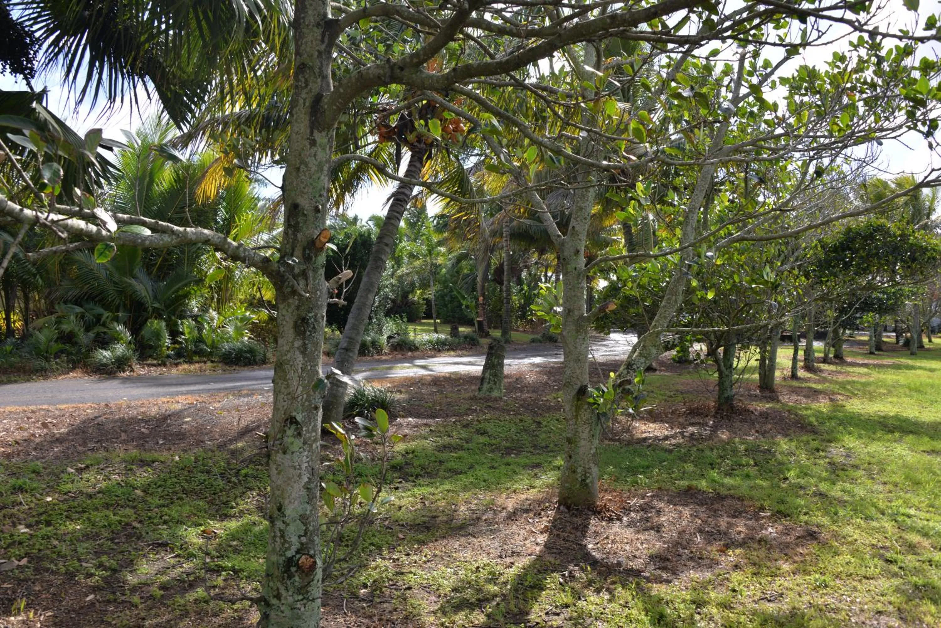 Domaine des Oiseaux Réunion