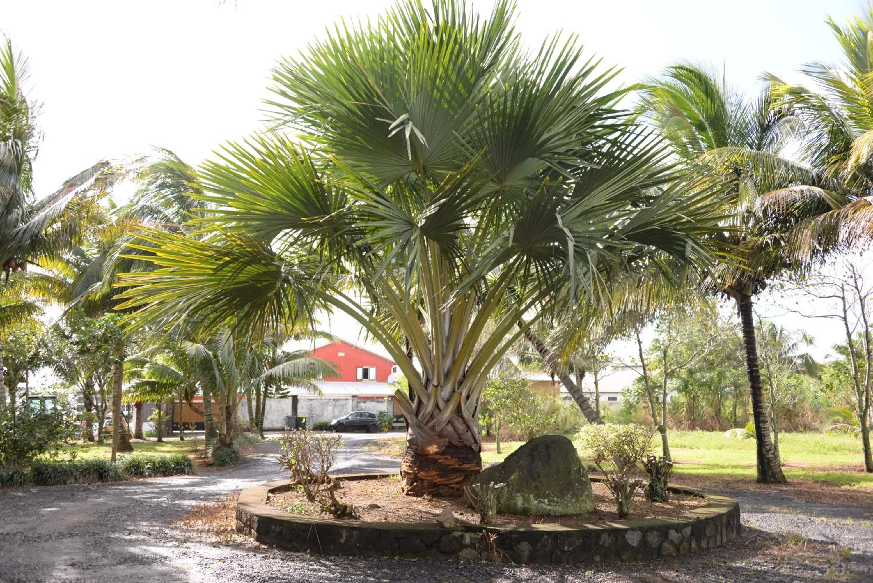 Domaine des Oiseaux Réunion