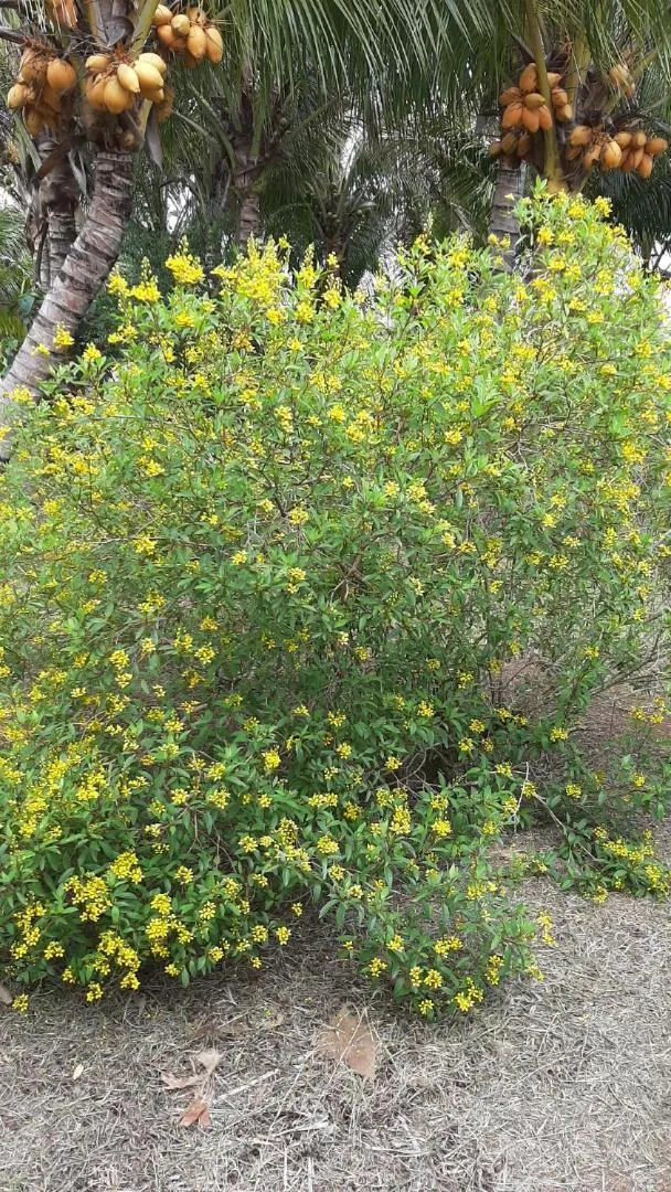 Domaine des Oiseaux Réunion