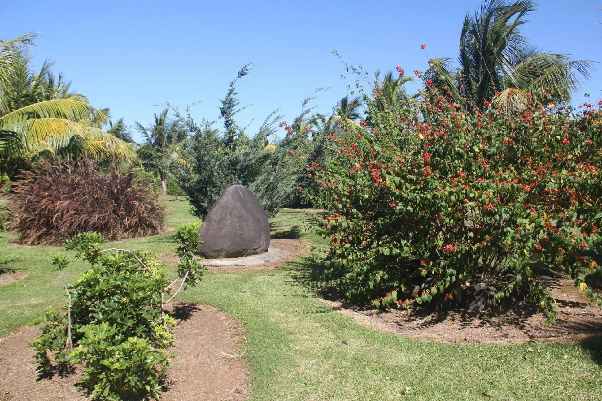 Domaine des Oiseaux Réunion