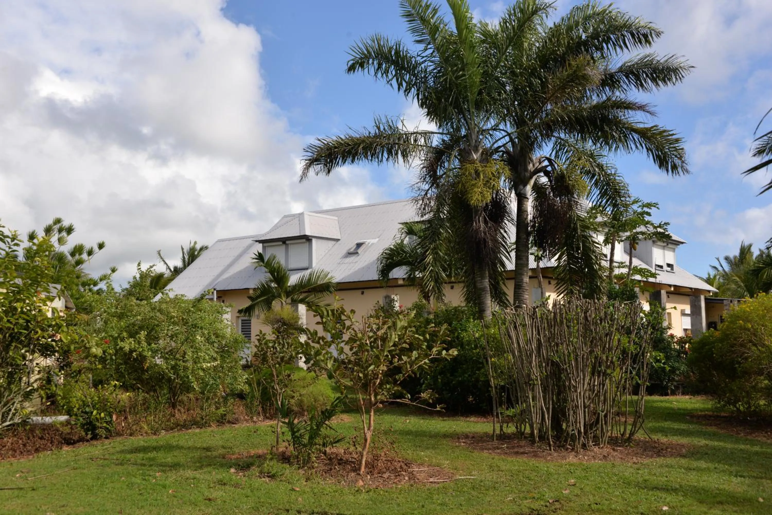 Domaine des Oiseaux Réunion