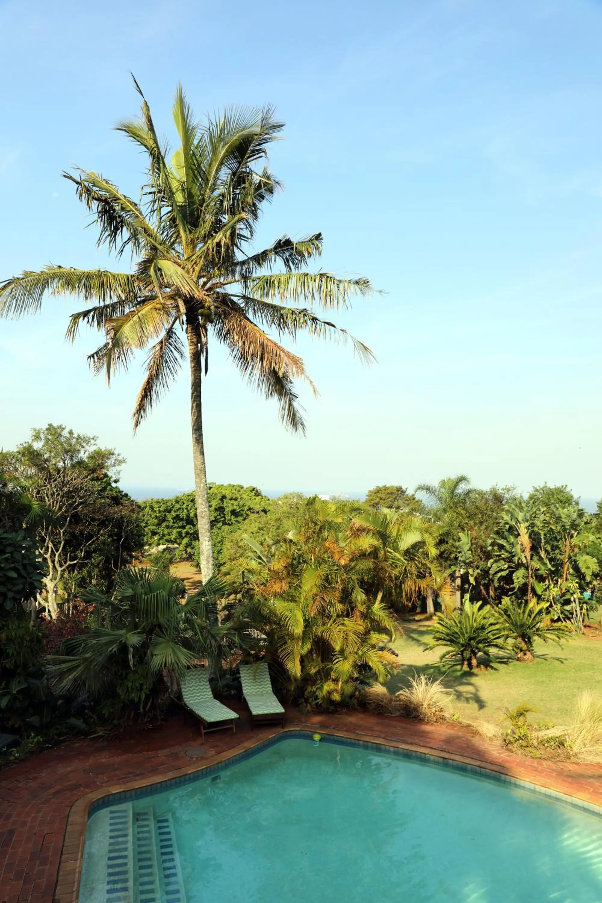 Swimming pool in Kingston Place Guesthouse
