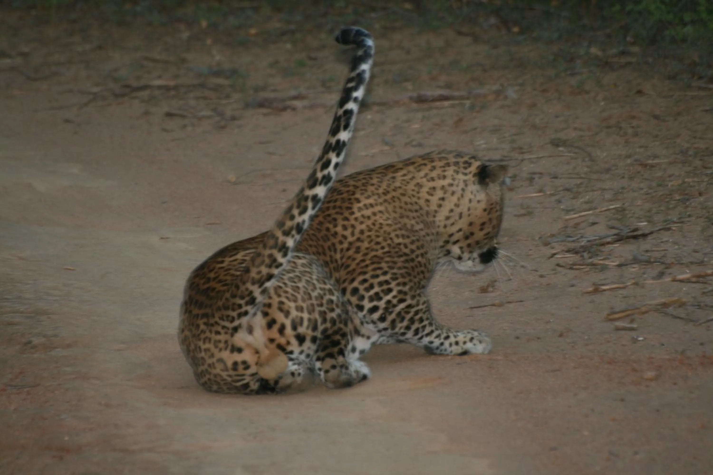 Day in Flower Garden Lake Resort