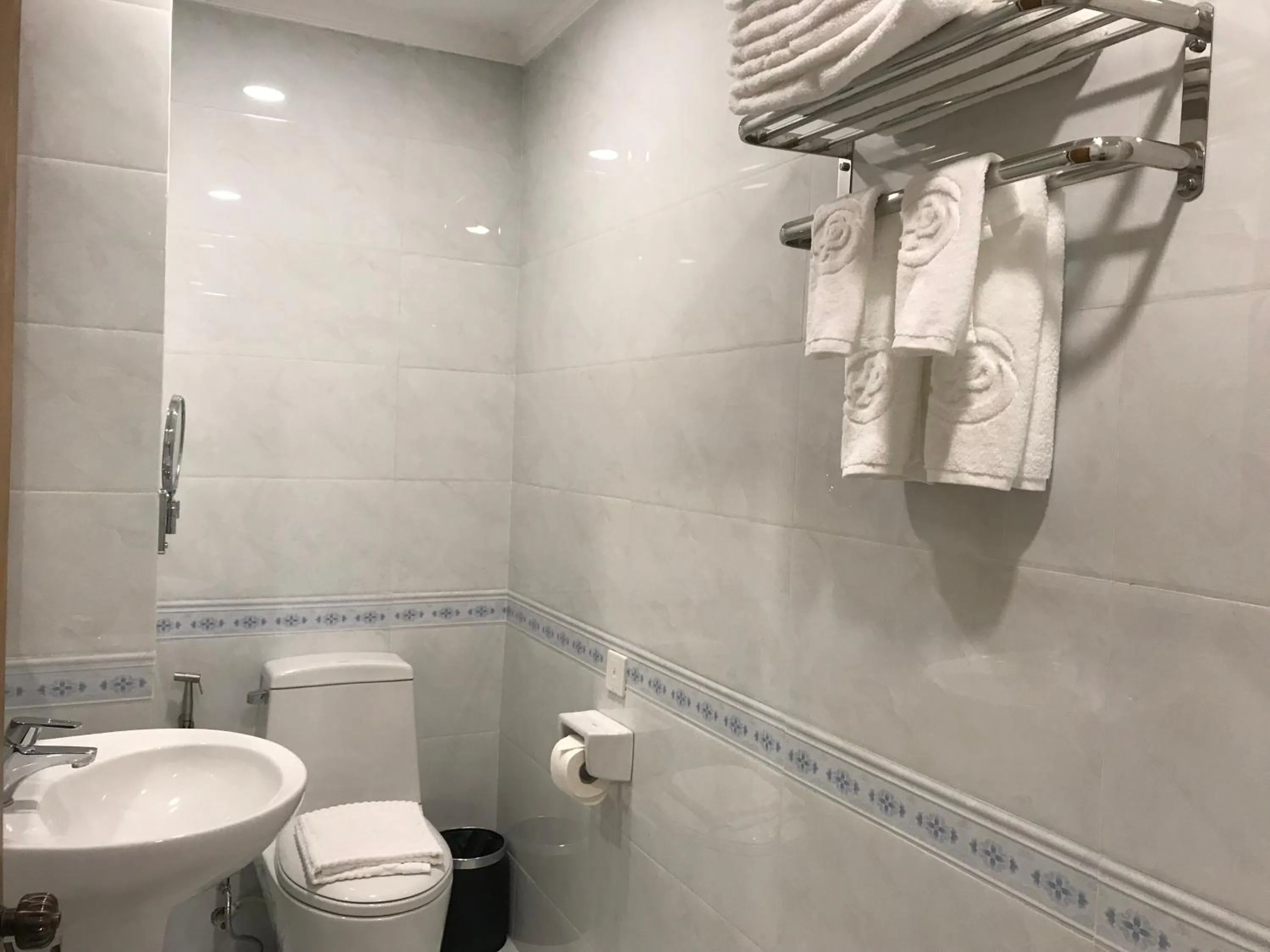 Toilet in Dragon Phoenix Hotel