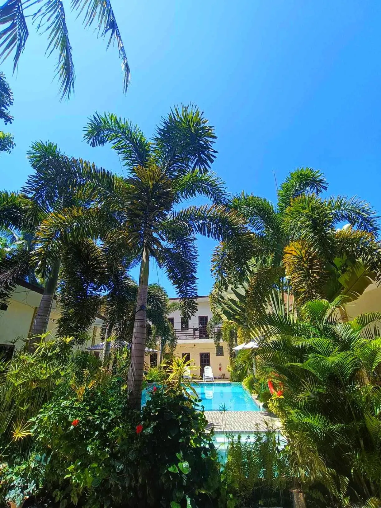 Garden in Softstone resort