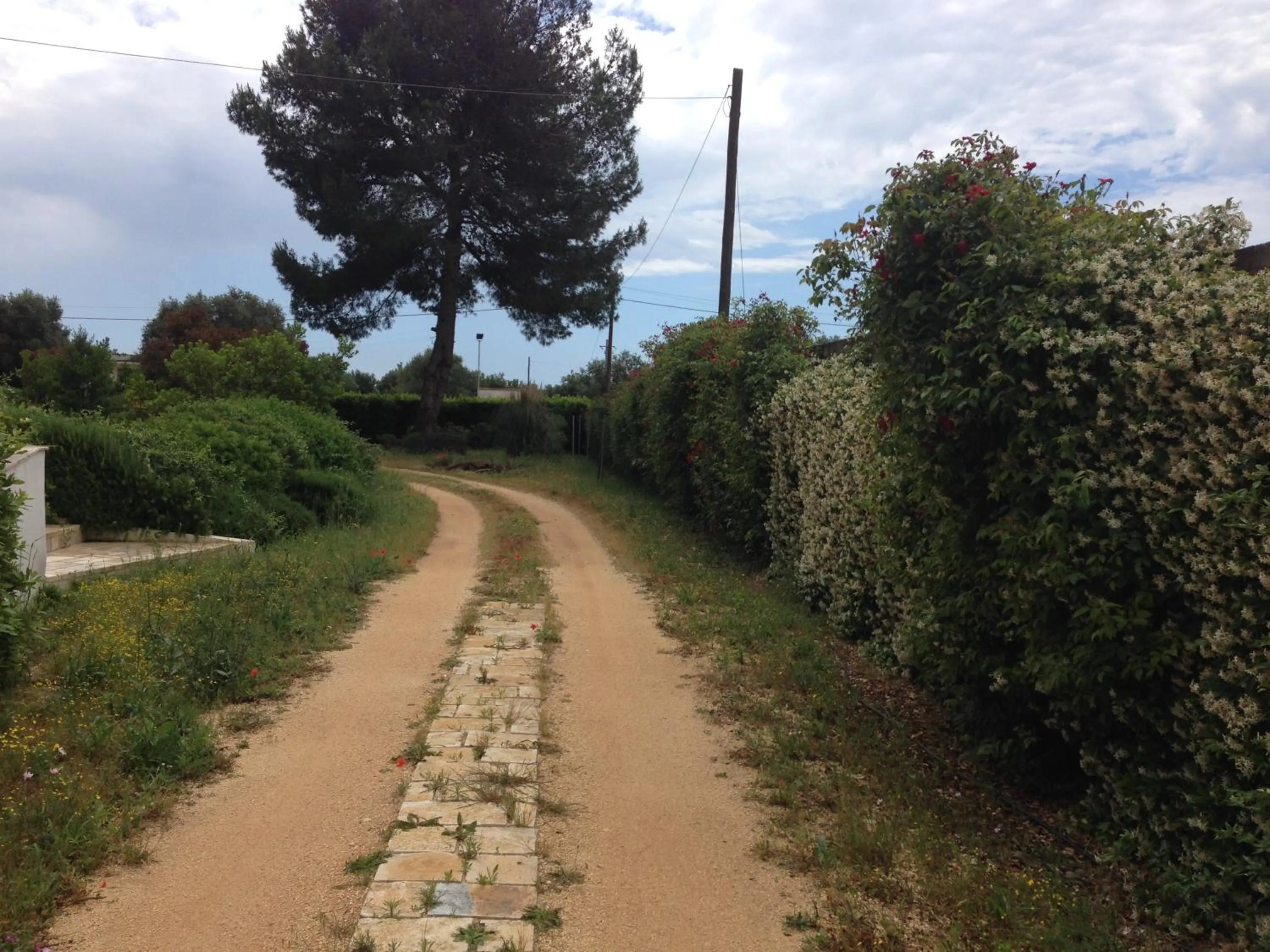 Garden in Mazzara Farm