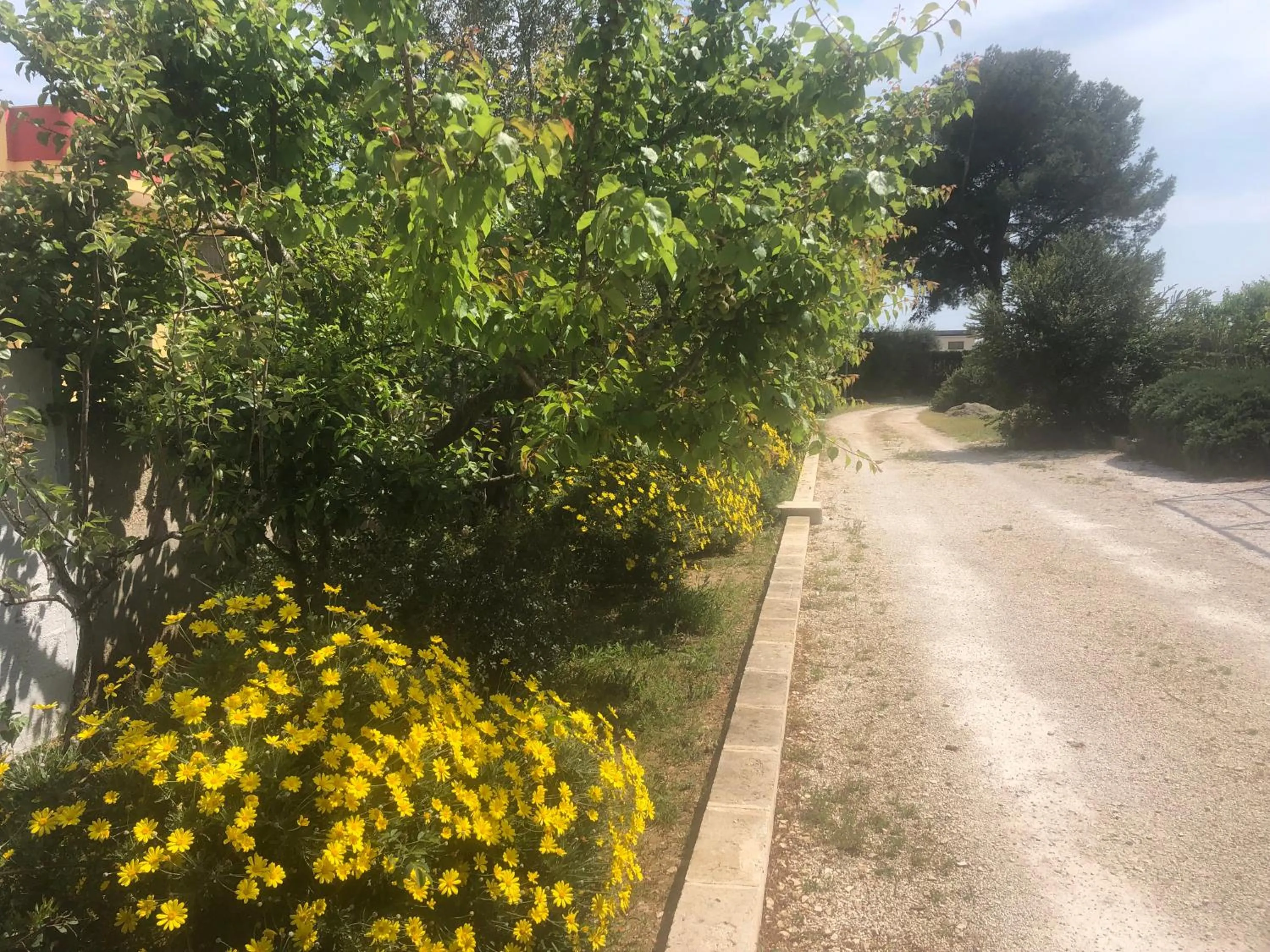 Garden in Mazzara Farm