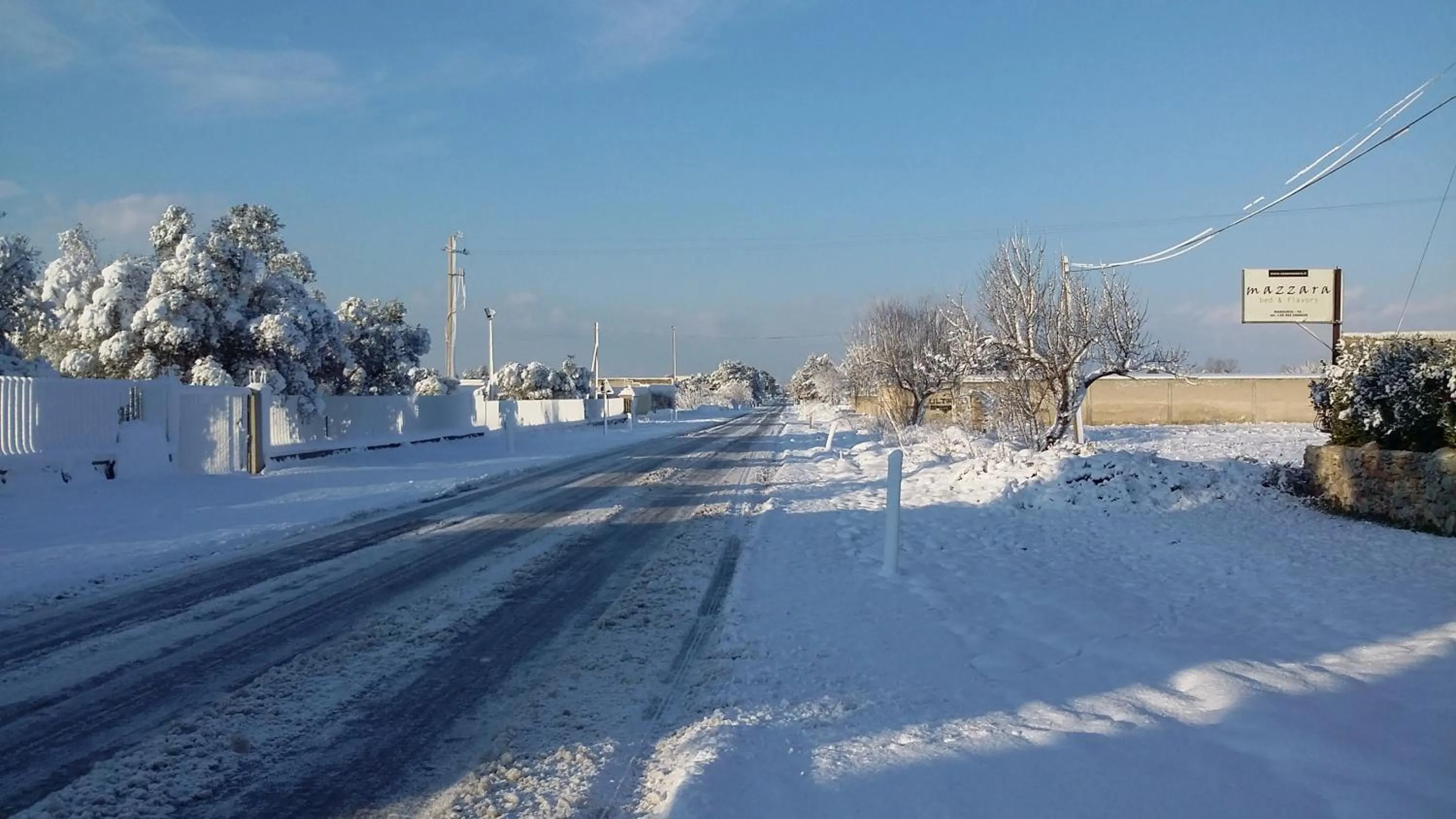 Garden in Mazzara Farm