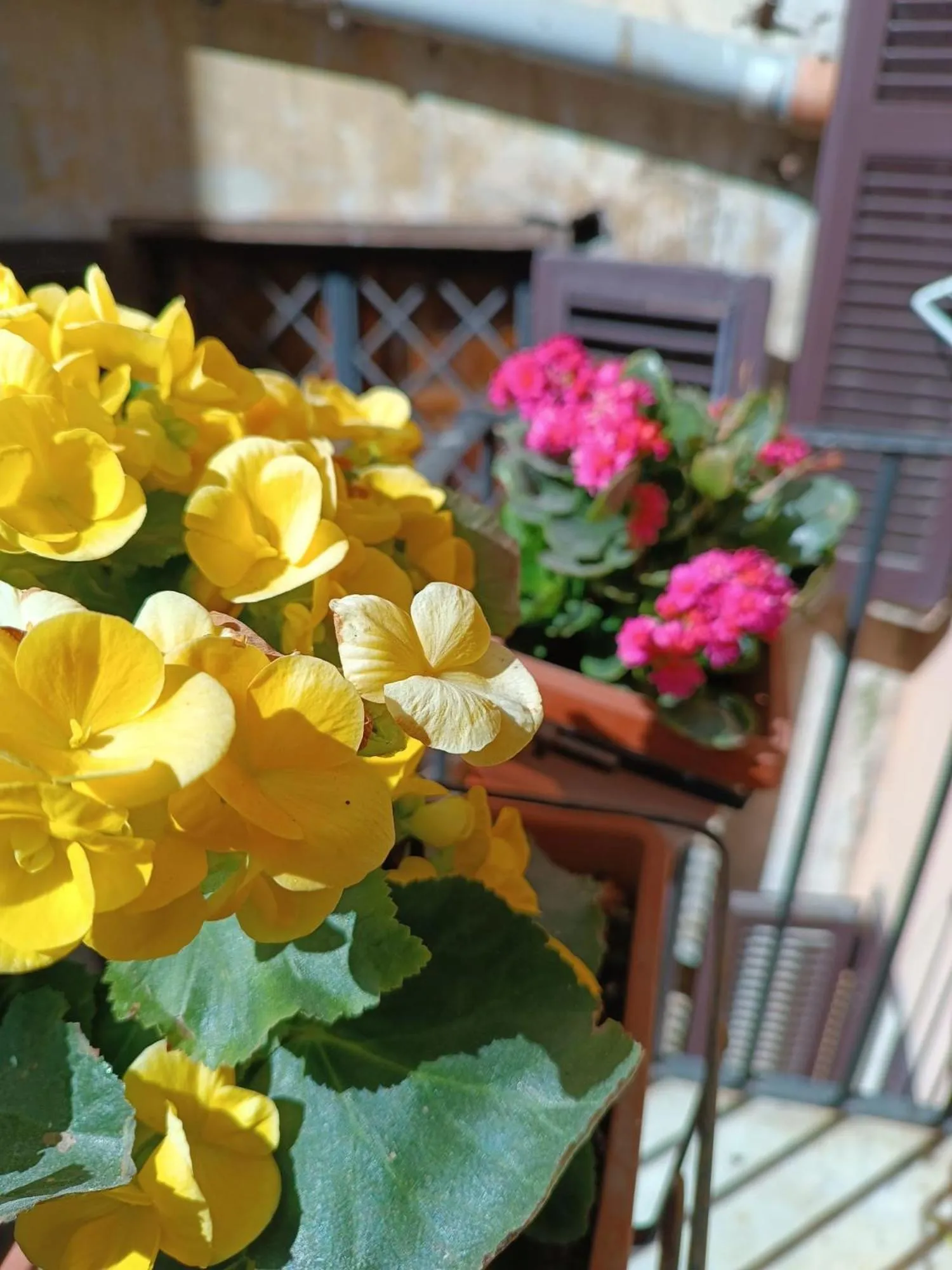 Balcony/Terrace in Elegant Rooms Roma - Guest House