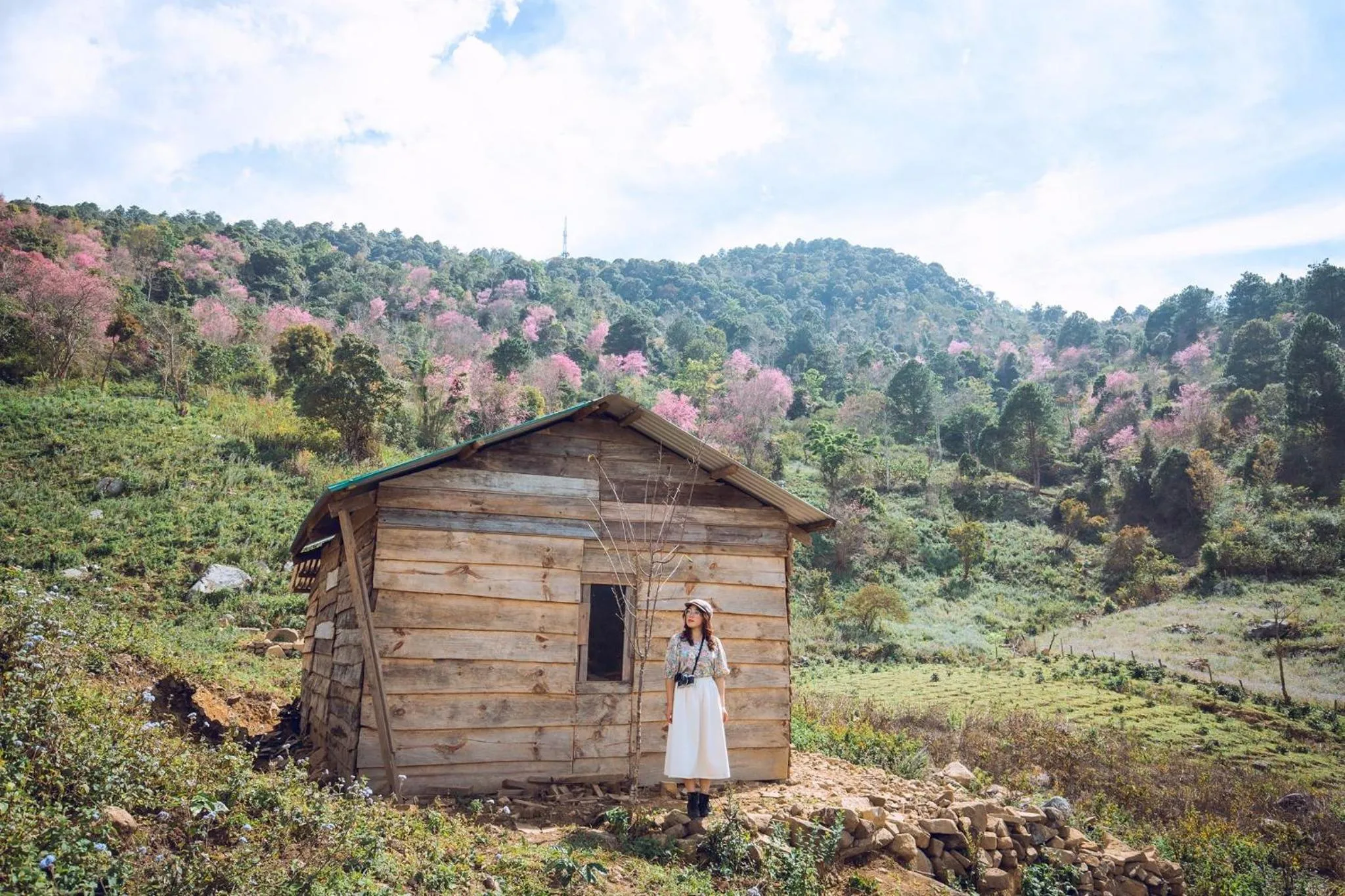 Natural landscape in QA Hotel Dalat - City Centre