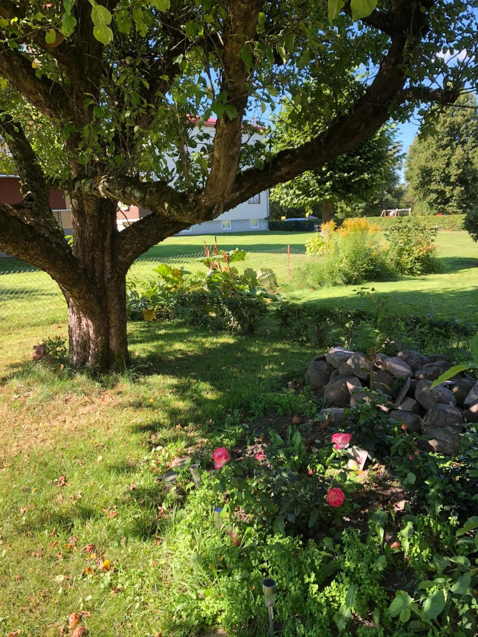 Summer in Strandgården Karlstad