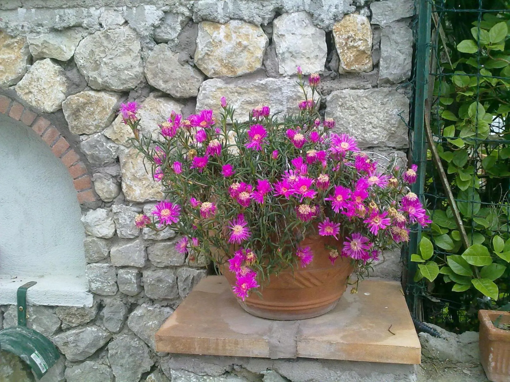 Decorative detail in Il Merlo