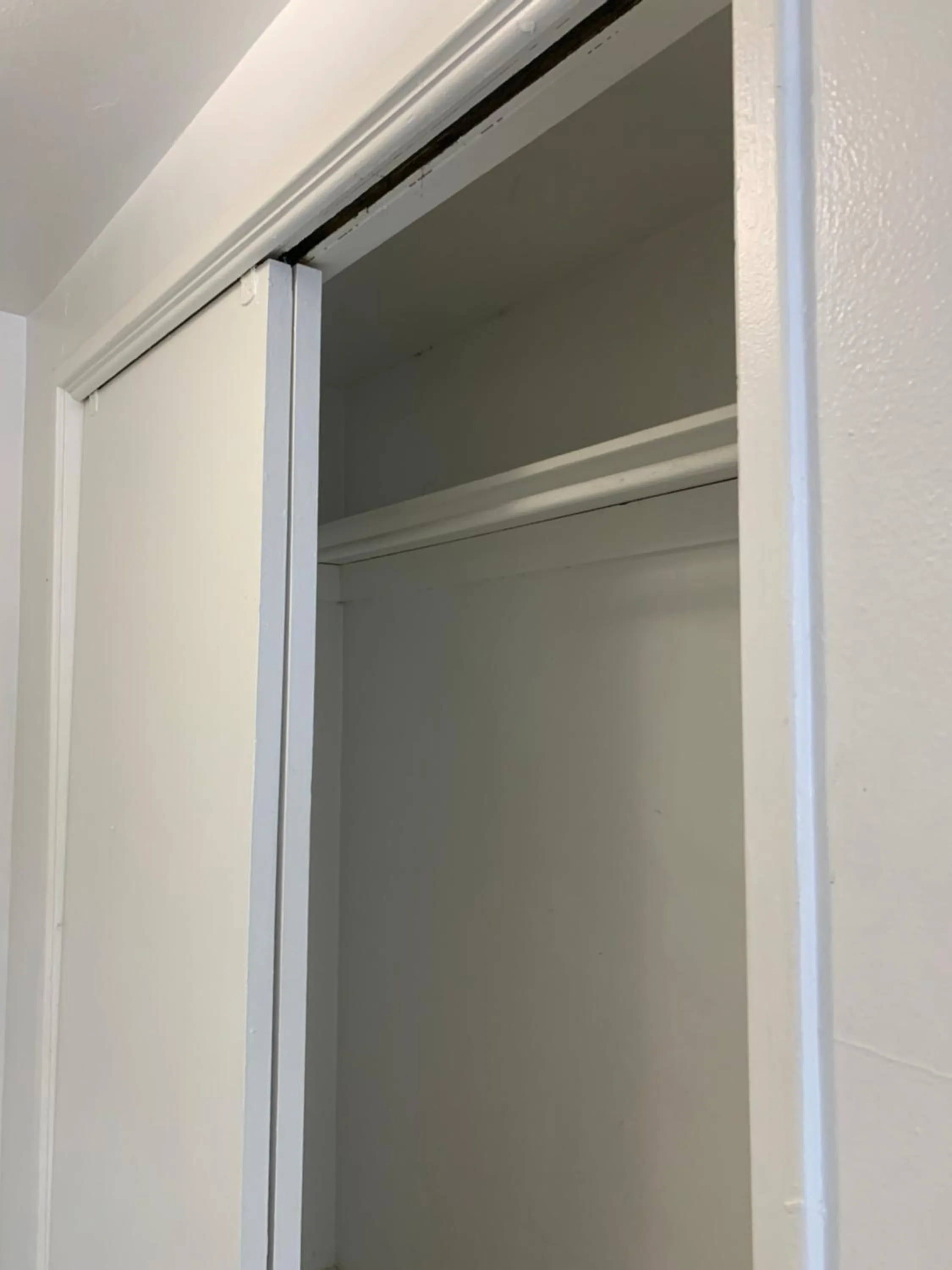 Area and facilities in International Inn on the Bay