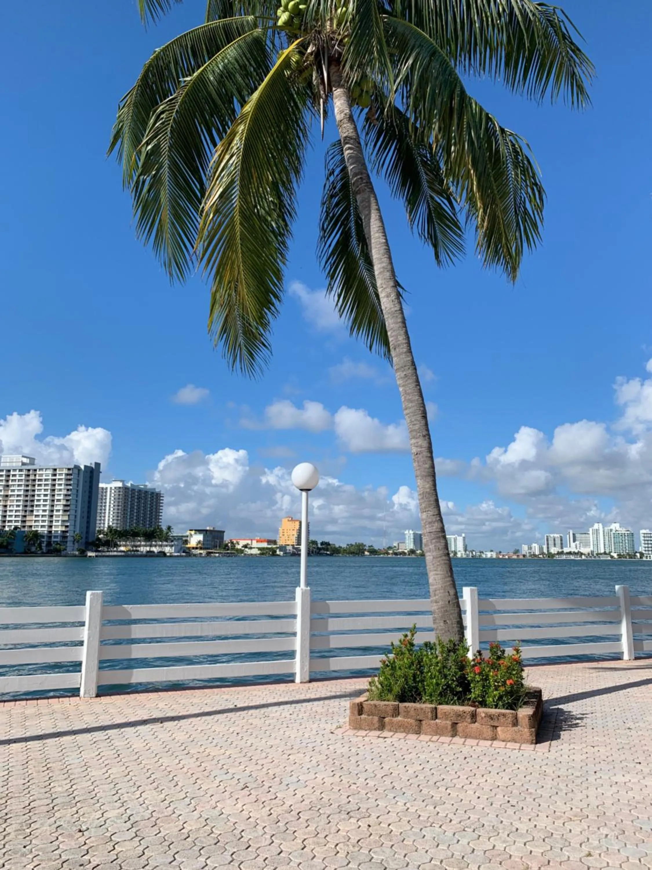Sea view in International Inn on the Bay