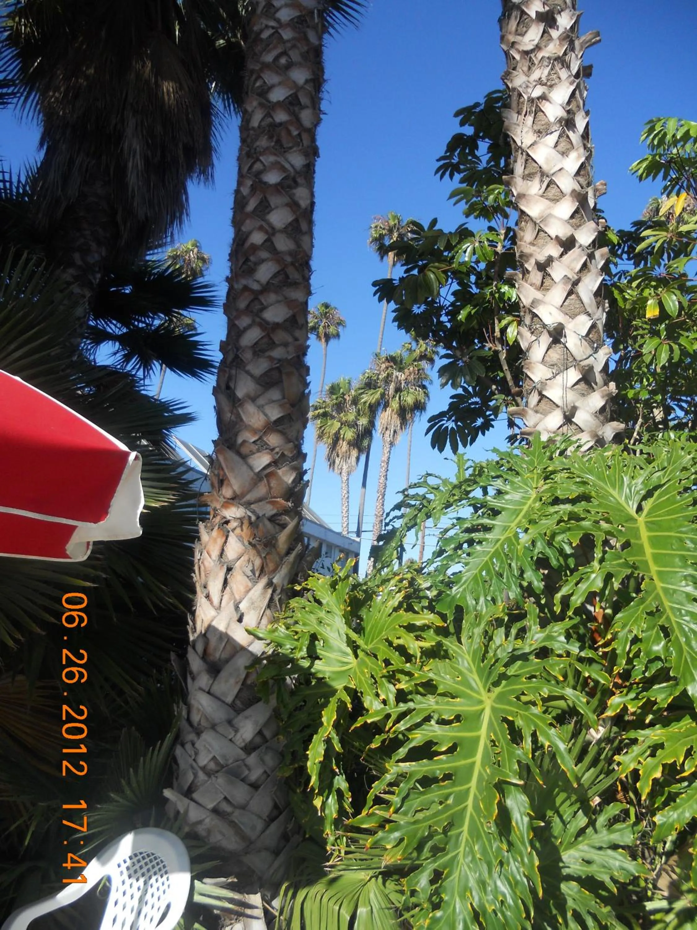 Day in Tradewinds Airport Hotel