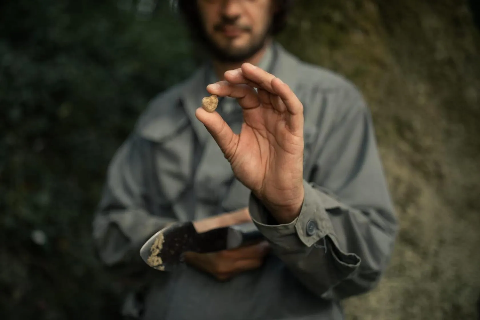Autumn in Tenuta Di Sticciano