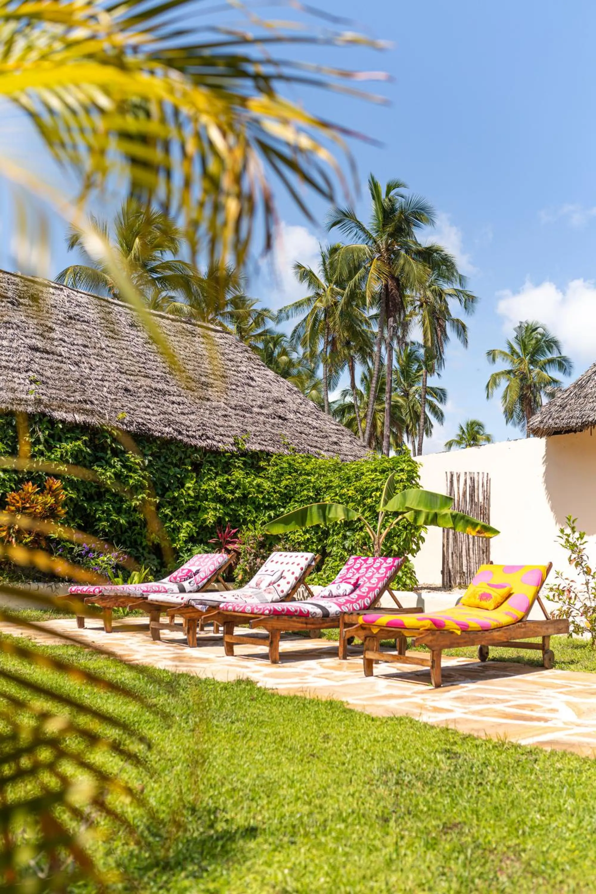 Garden in Hekaya Zanzibar