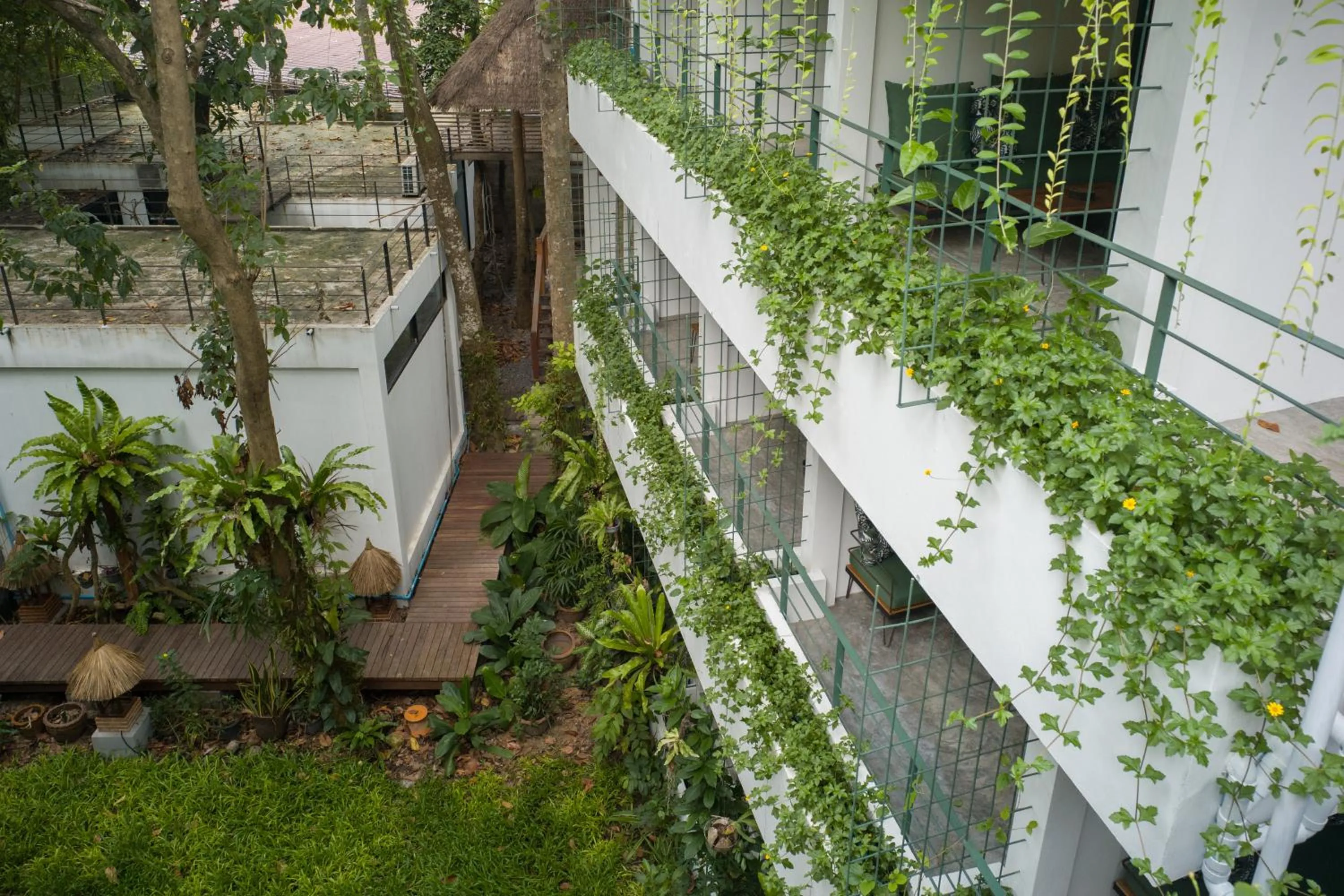 Balcony/Terrace in Big Tree Boutique Hotel