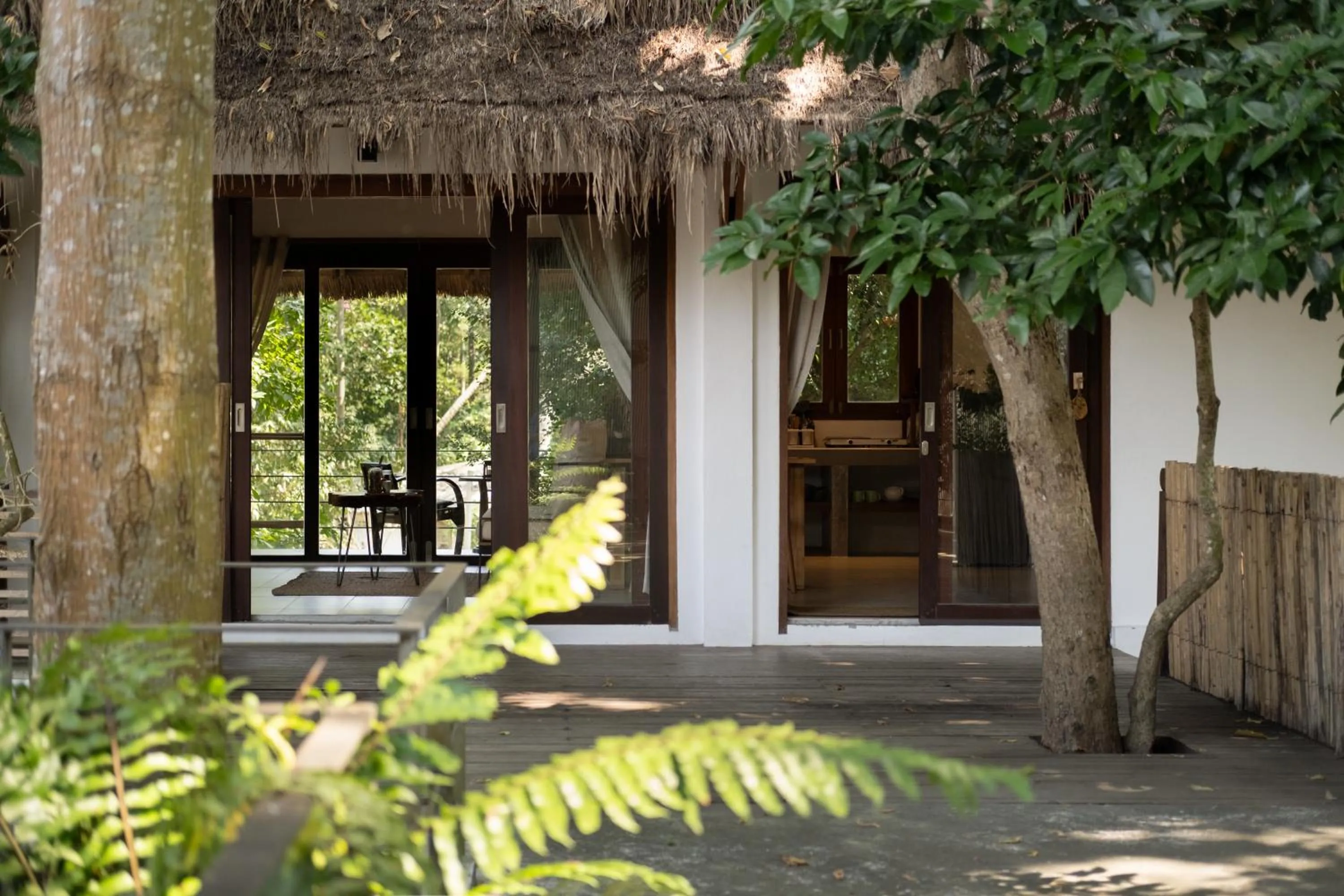 Day in Big Tree Boutique Hotel