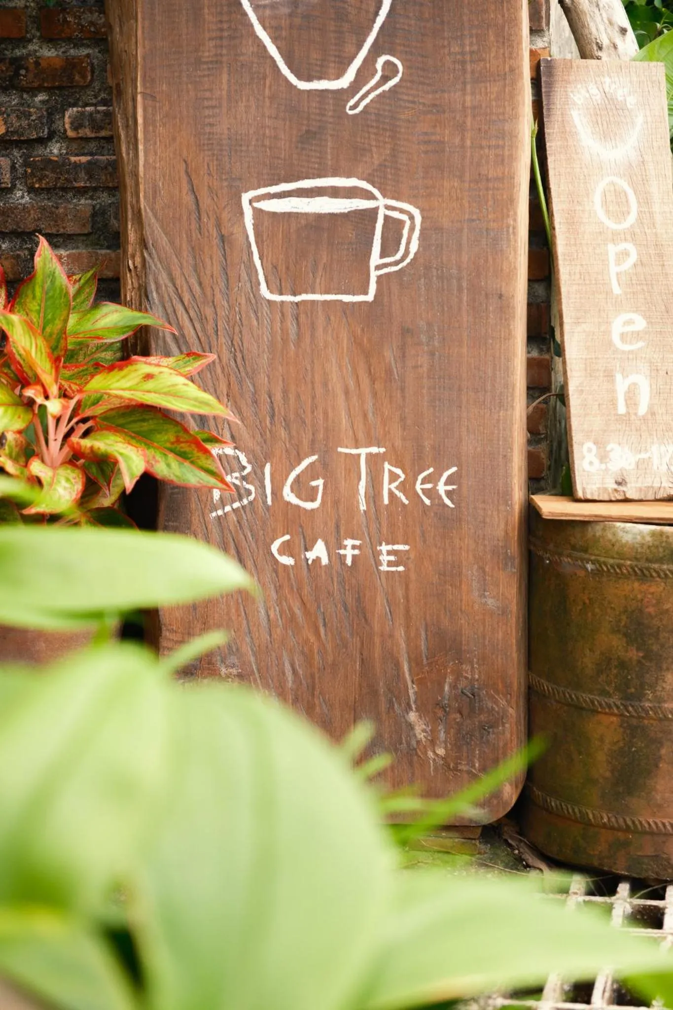 Restaurant/places to eat in Big Tree Boutique Hotel