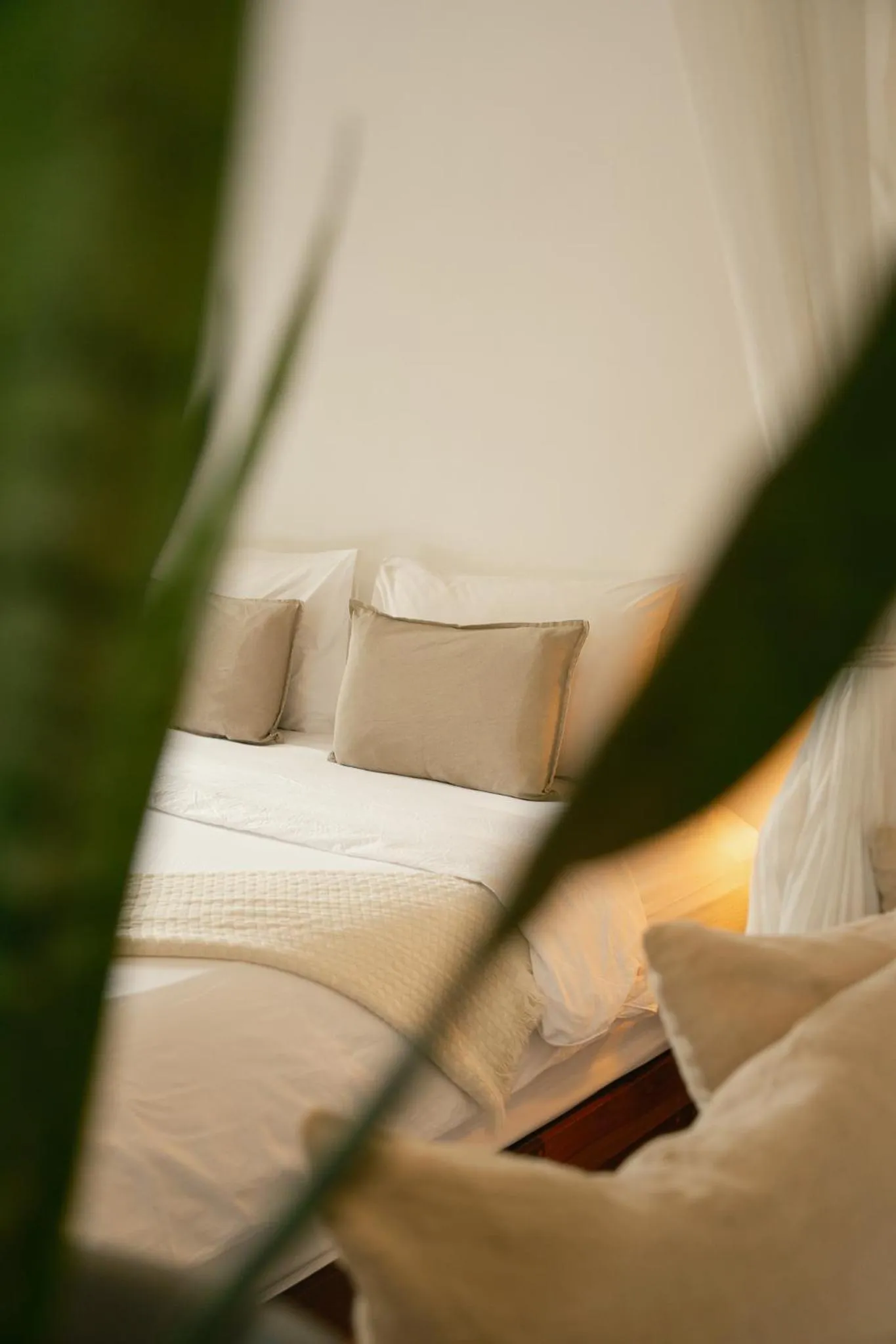 Bed in Big Tree Boutique Hotel