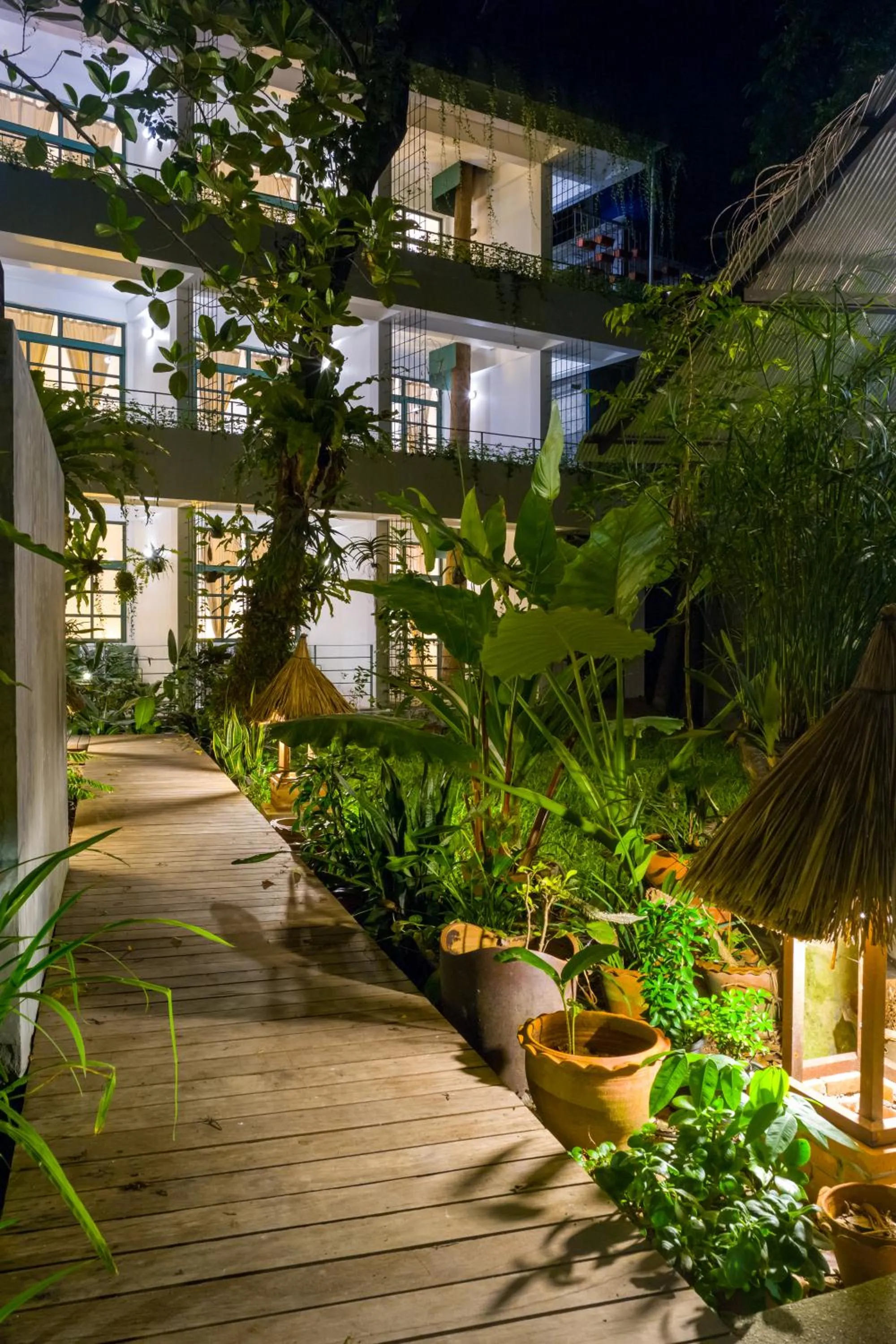 Property building in Big Tree Boutique Hotel