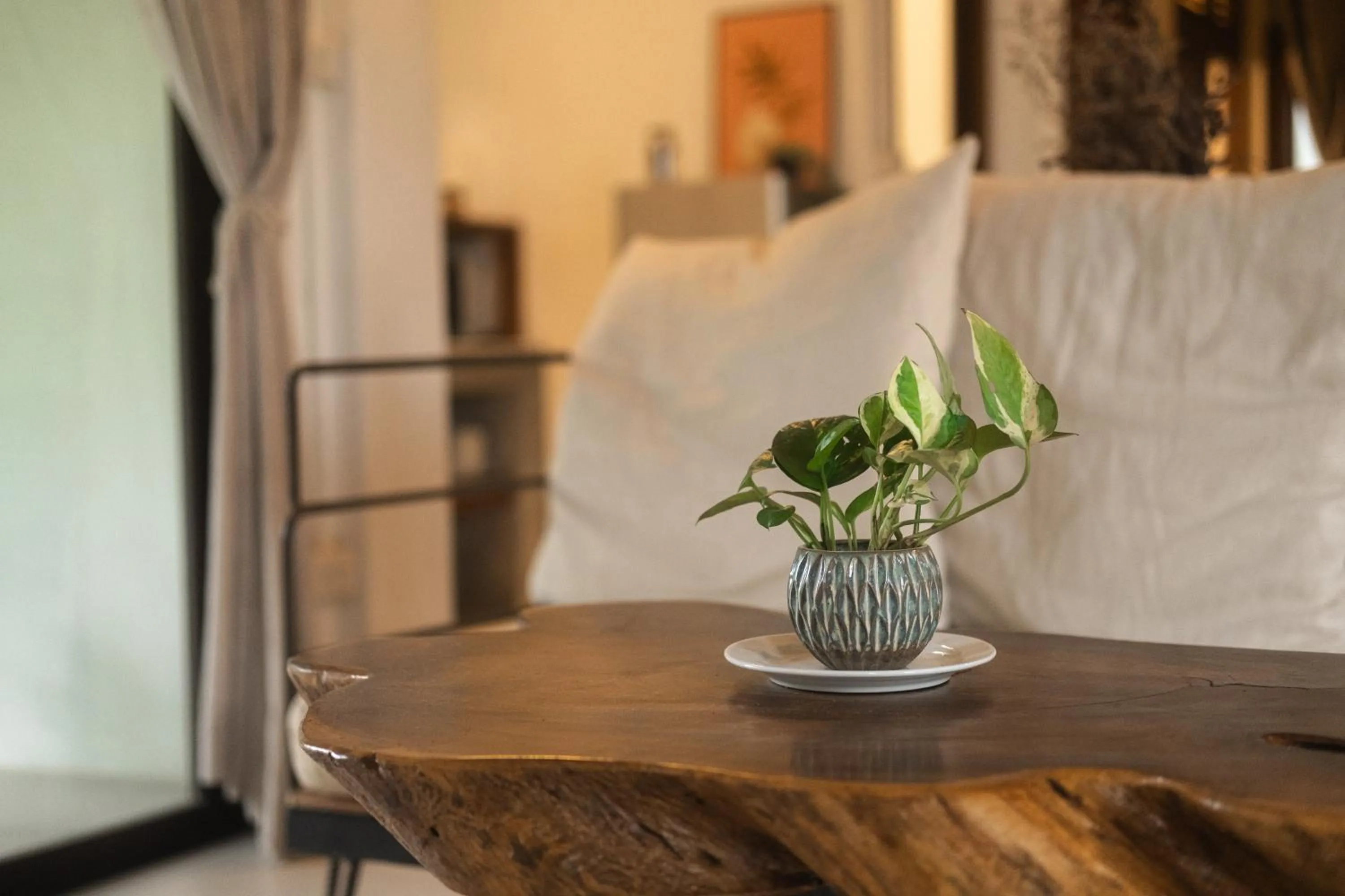 Seating area in Big Tree Boutique Hotel