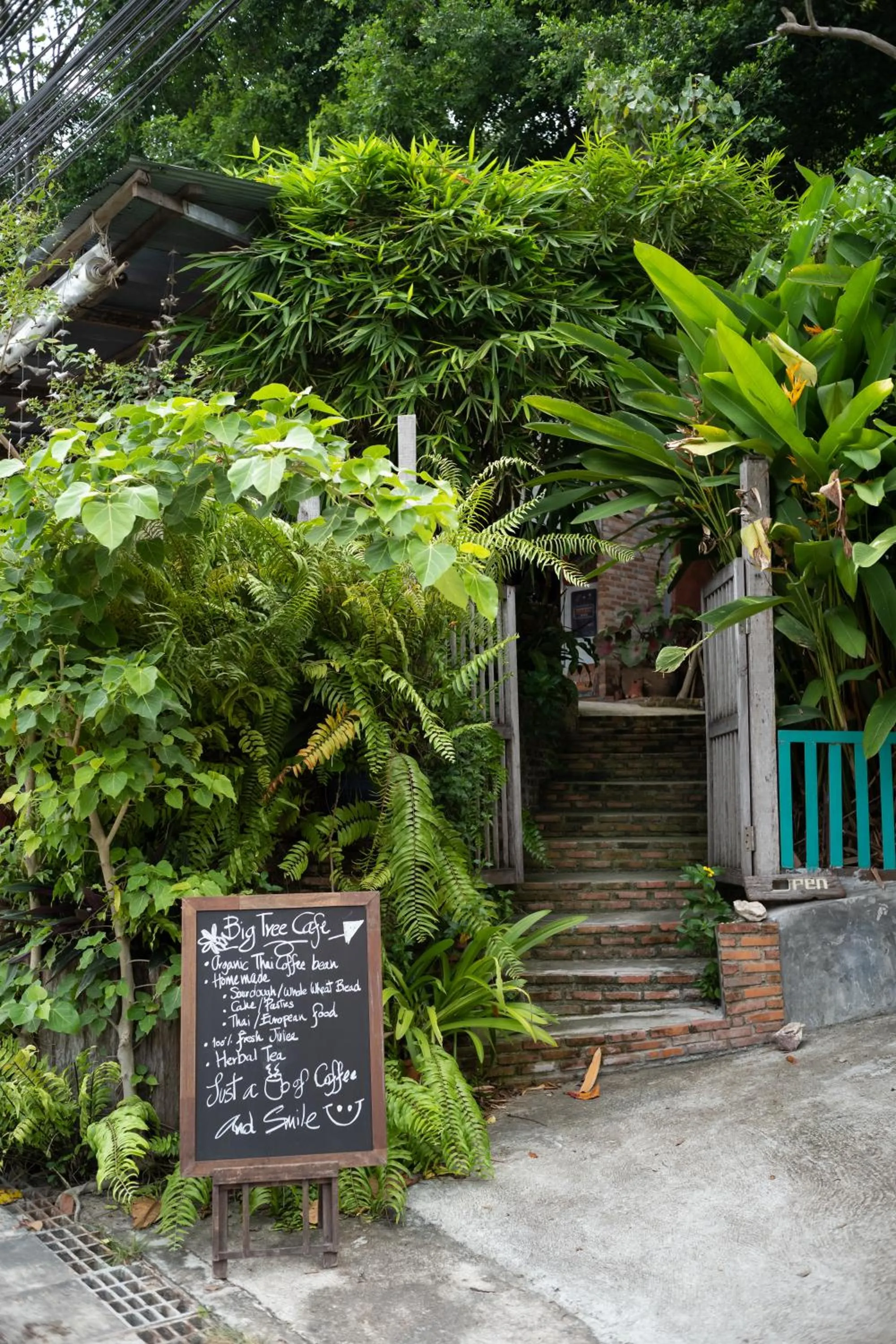 Facade/entrance in Big Tree Boutique Hotel