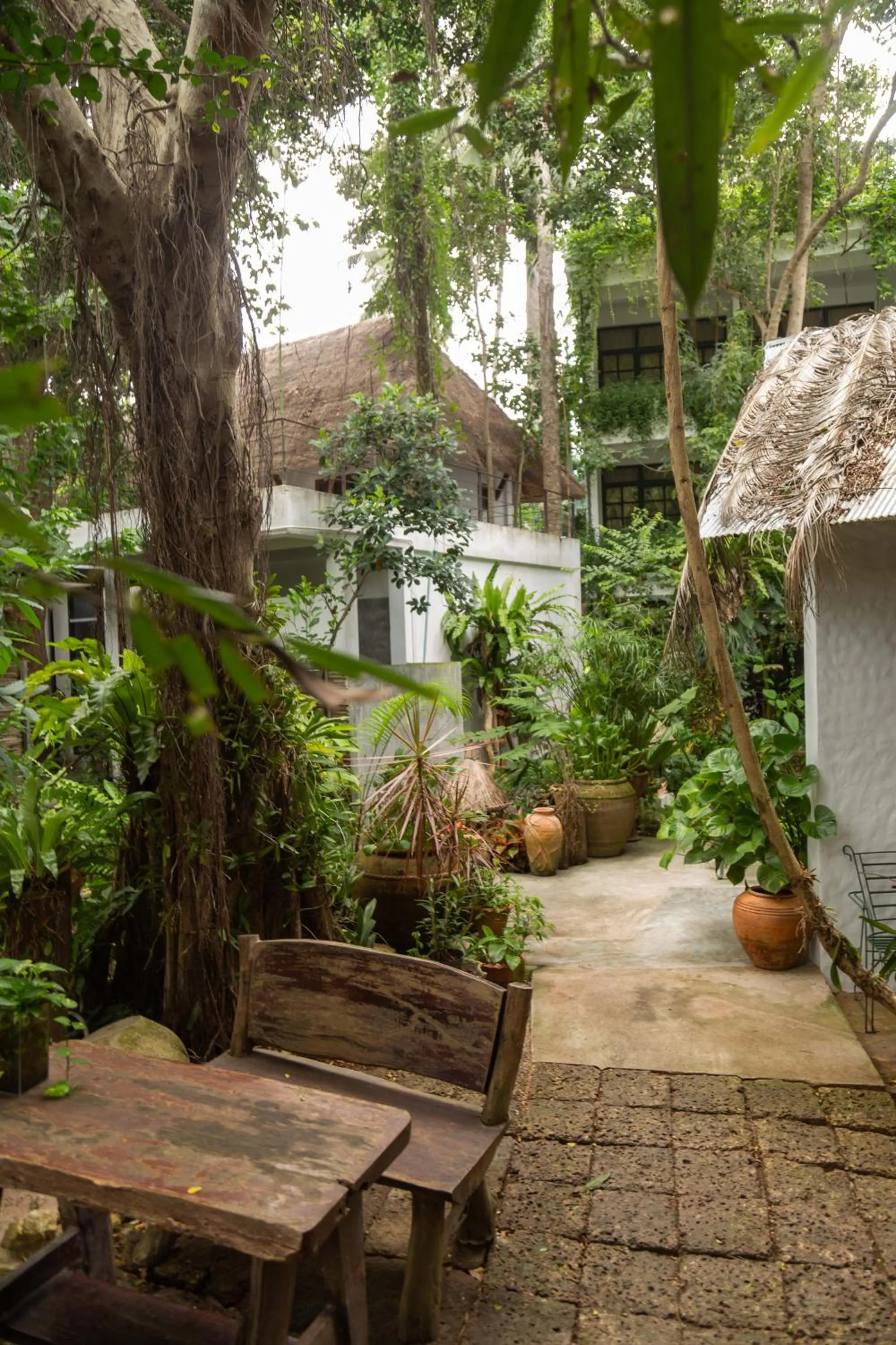 Property building in Big Tree Boutique Hotel