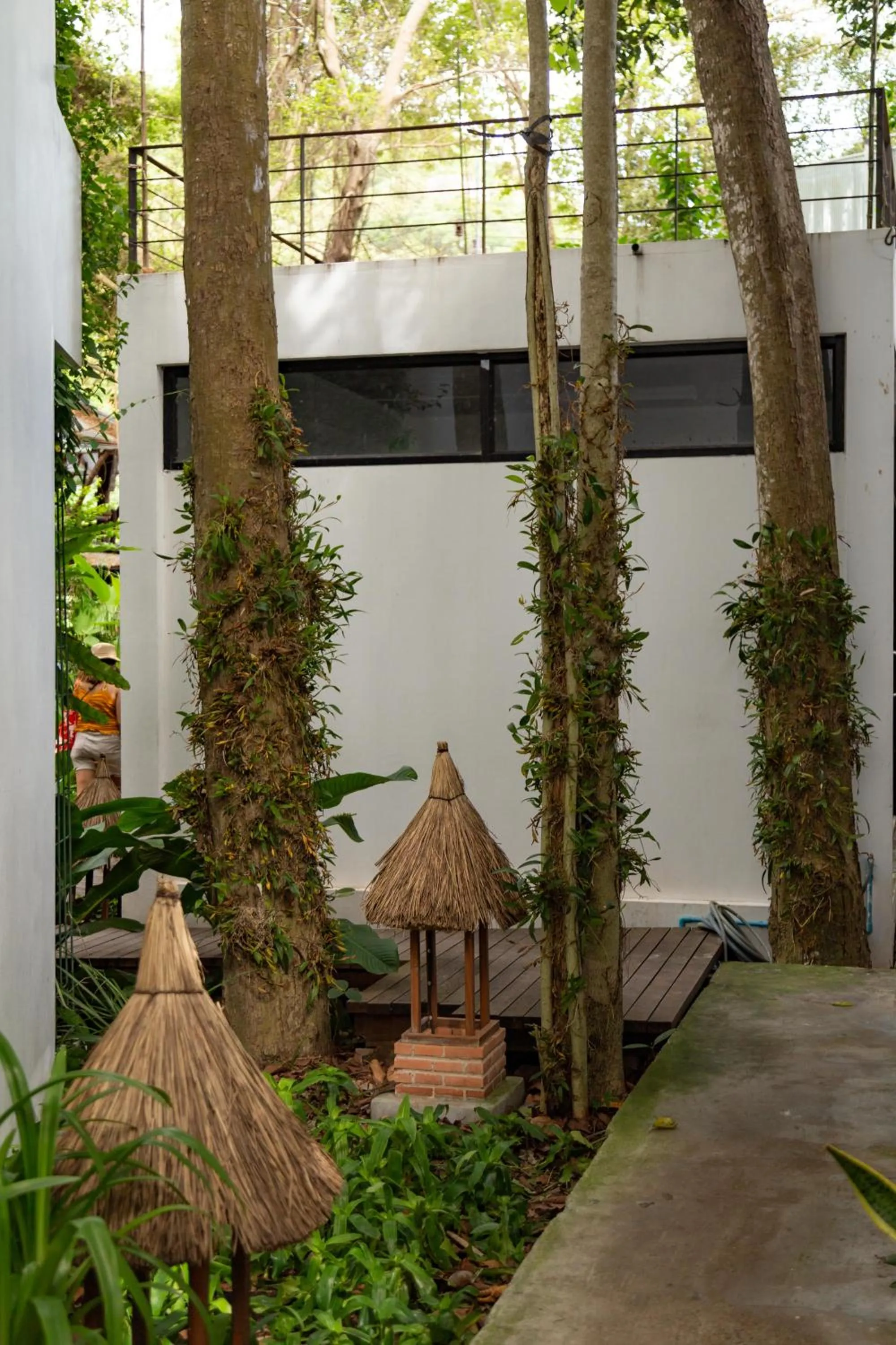 Property building in Big Tree Boutique Hotel