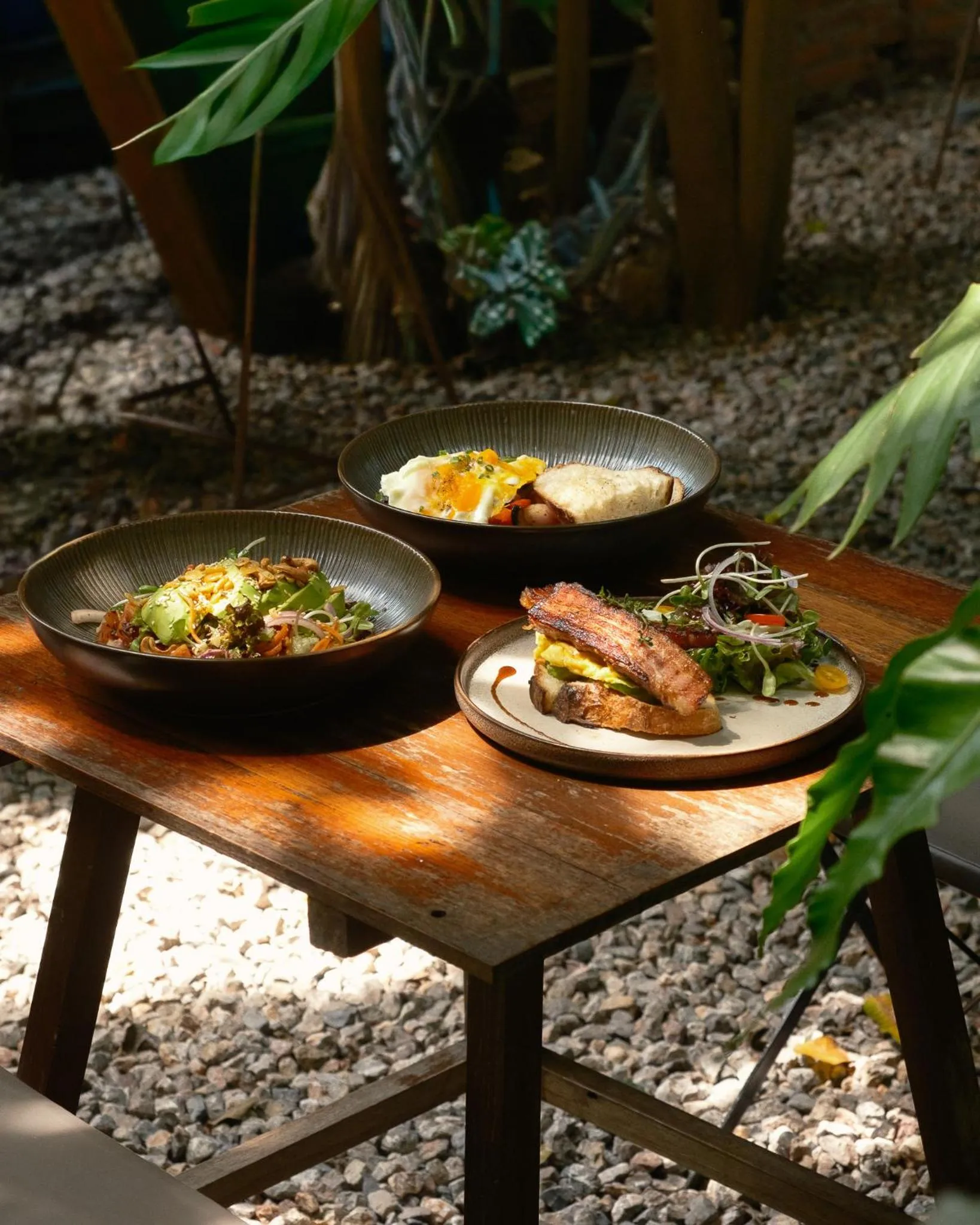 Restaurant/places to eat in Big Tree Boutique Hotel