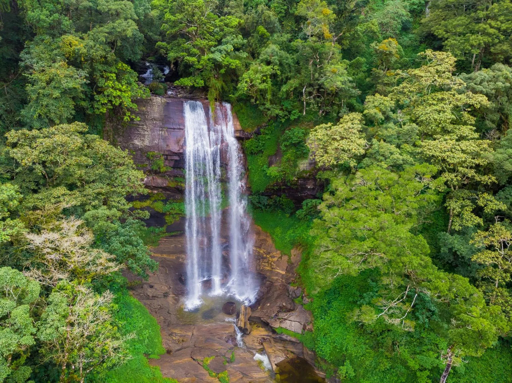 Garden in Mandaram Eco Resort