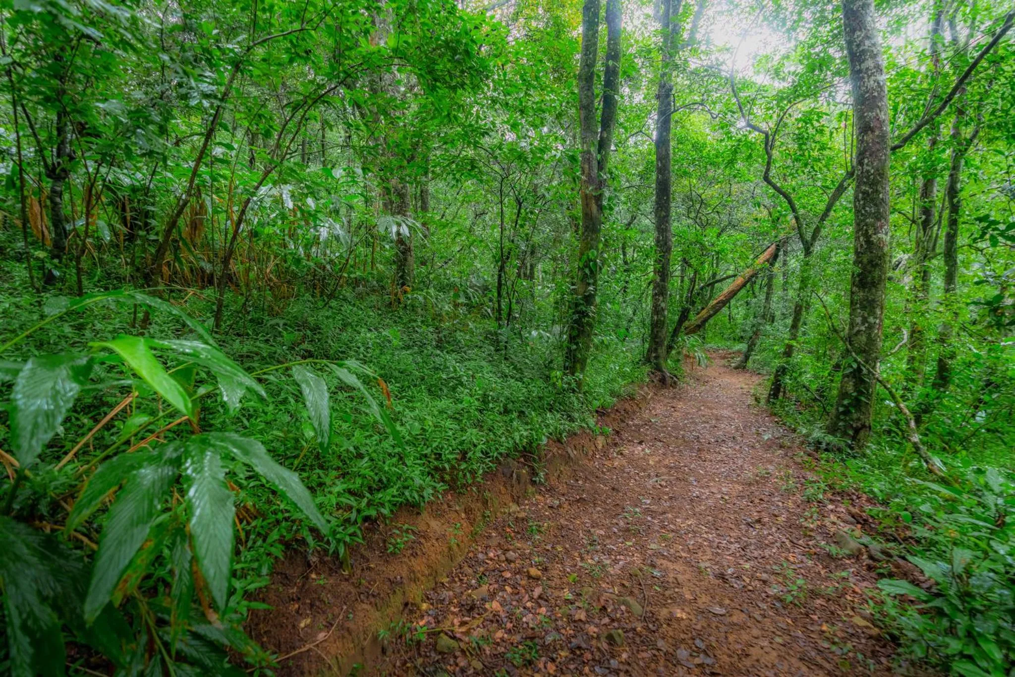 Hiking in Mandaram Eco Resort