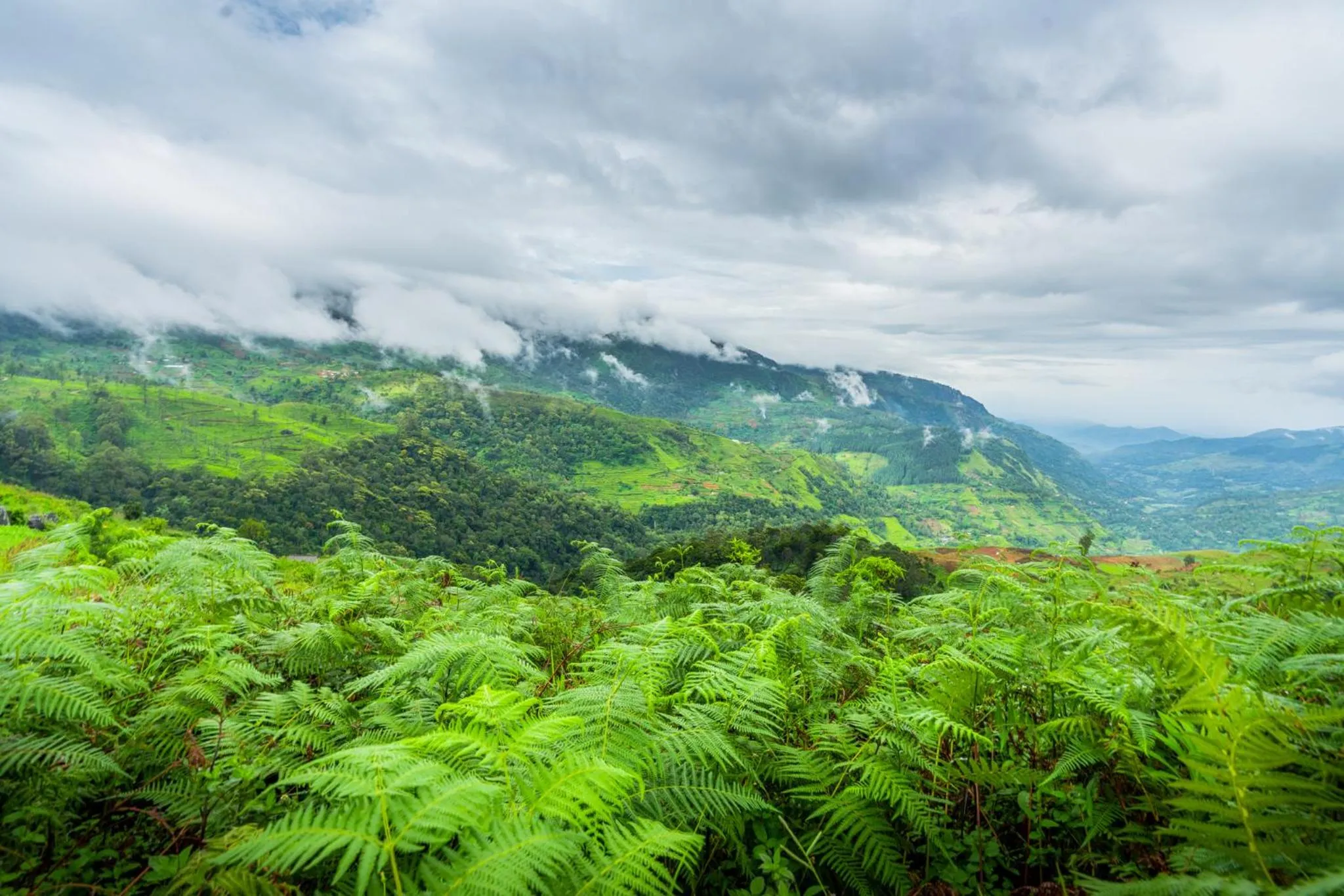 Mountain view in Mandaram Eco Resort