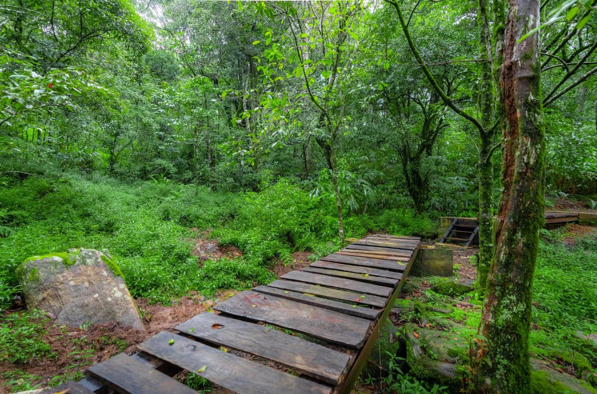 Natural landscape in Mandaram Eco Resort