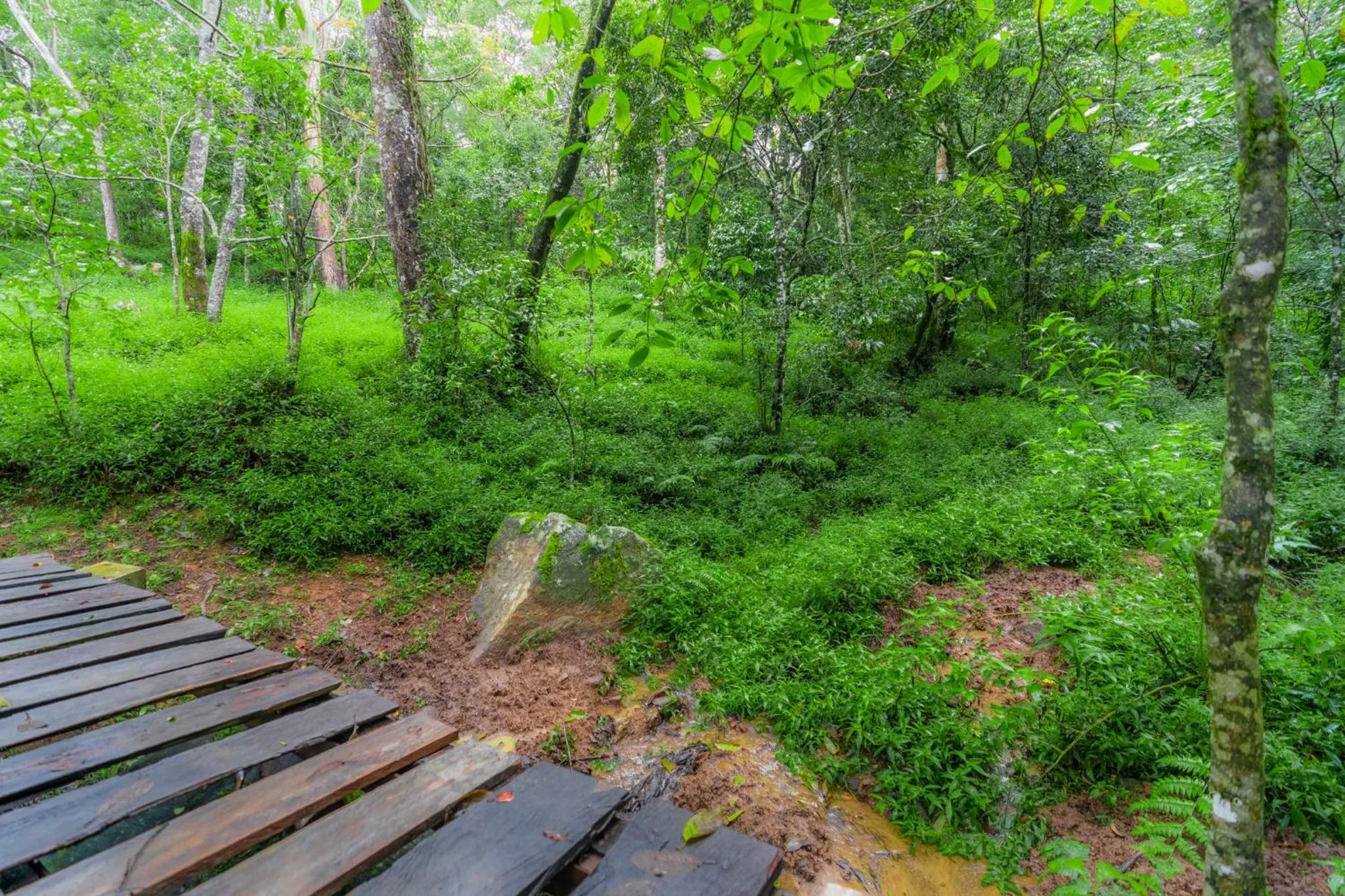Garden in Mandaram Eco Resort