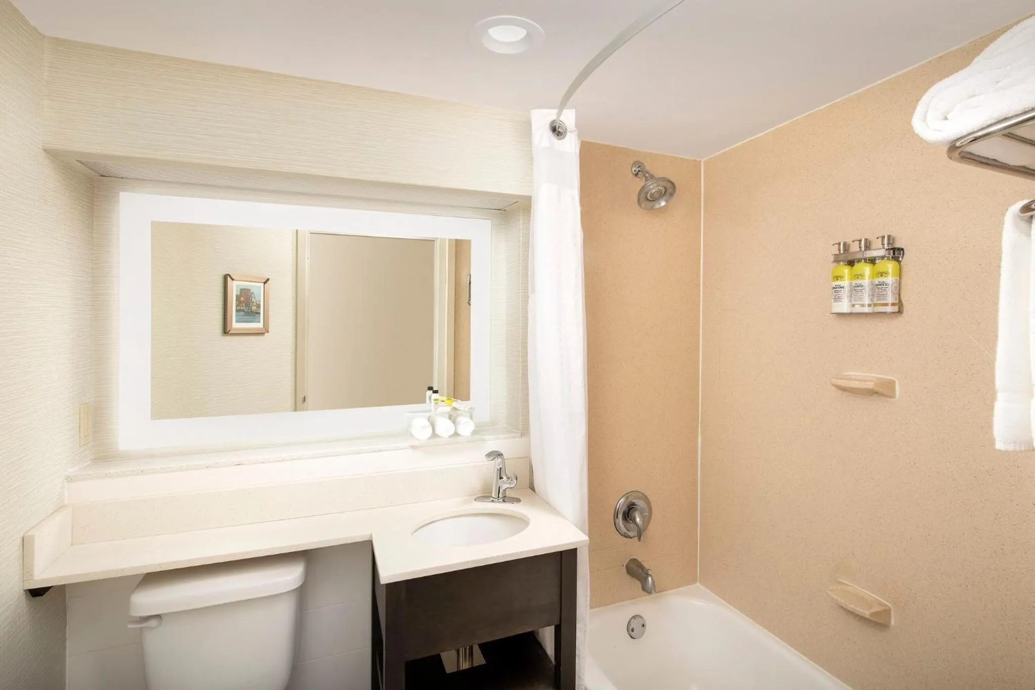 Bathroom in Holiday Inn Express & Suites Annapolis by IHG