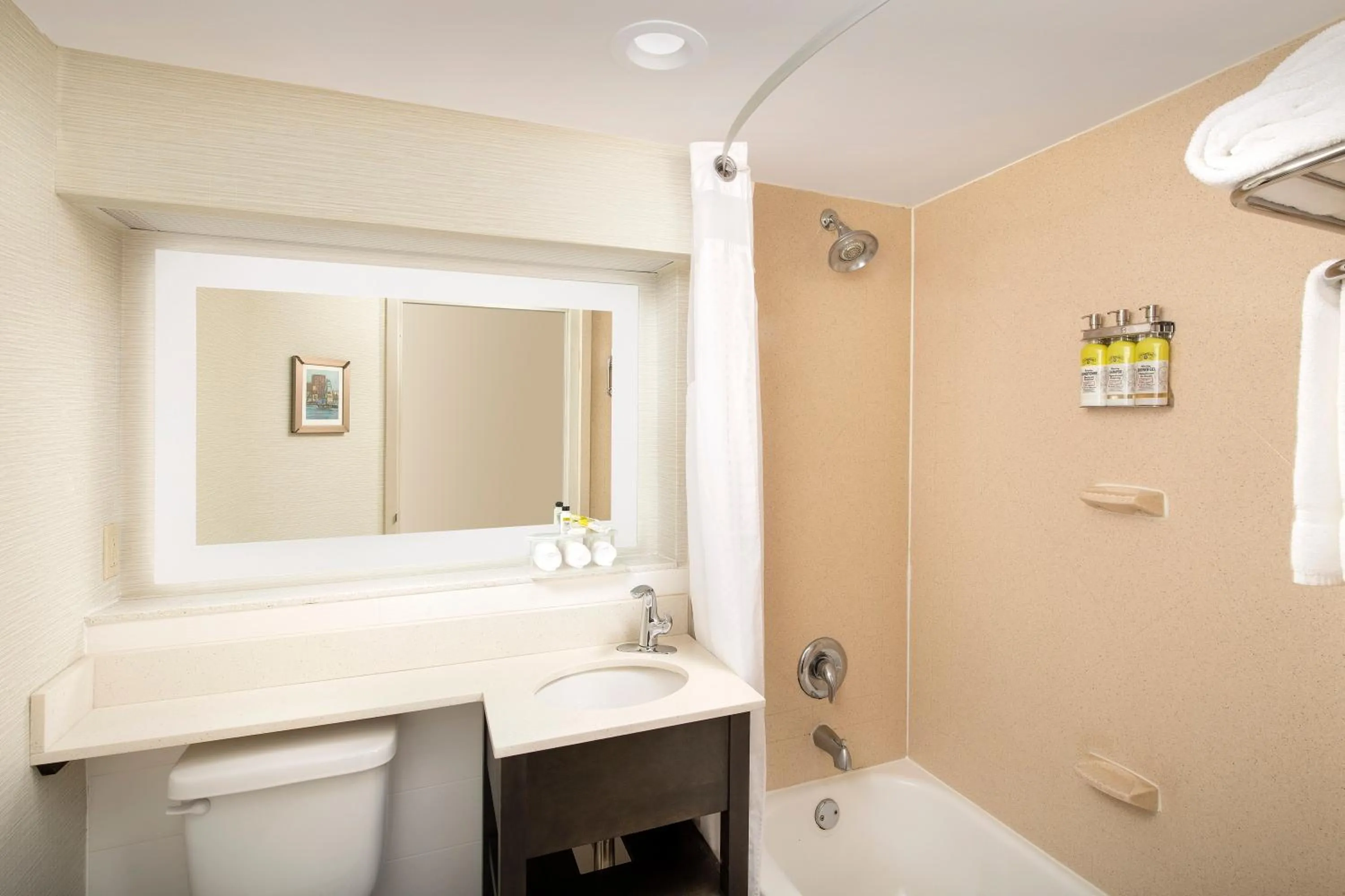 Bathroom in Holiday Inn Express & Suites Annapolis by IHG