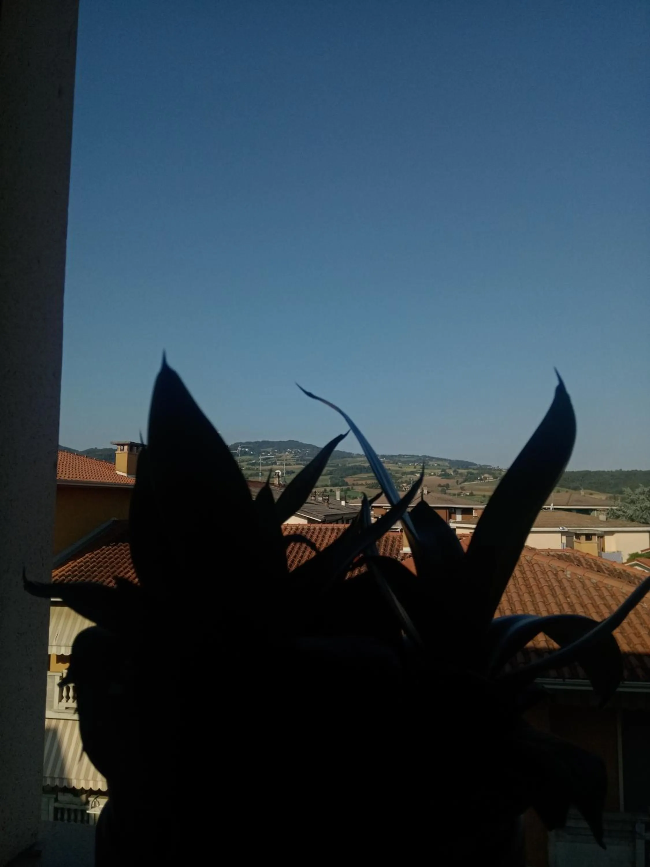 View (from property/room) in L'angolo di Betti