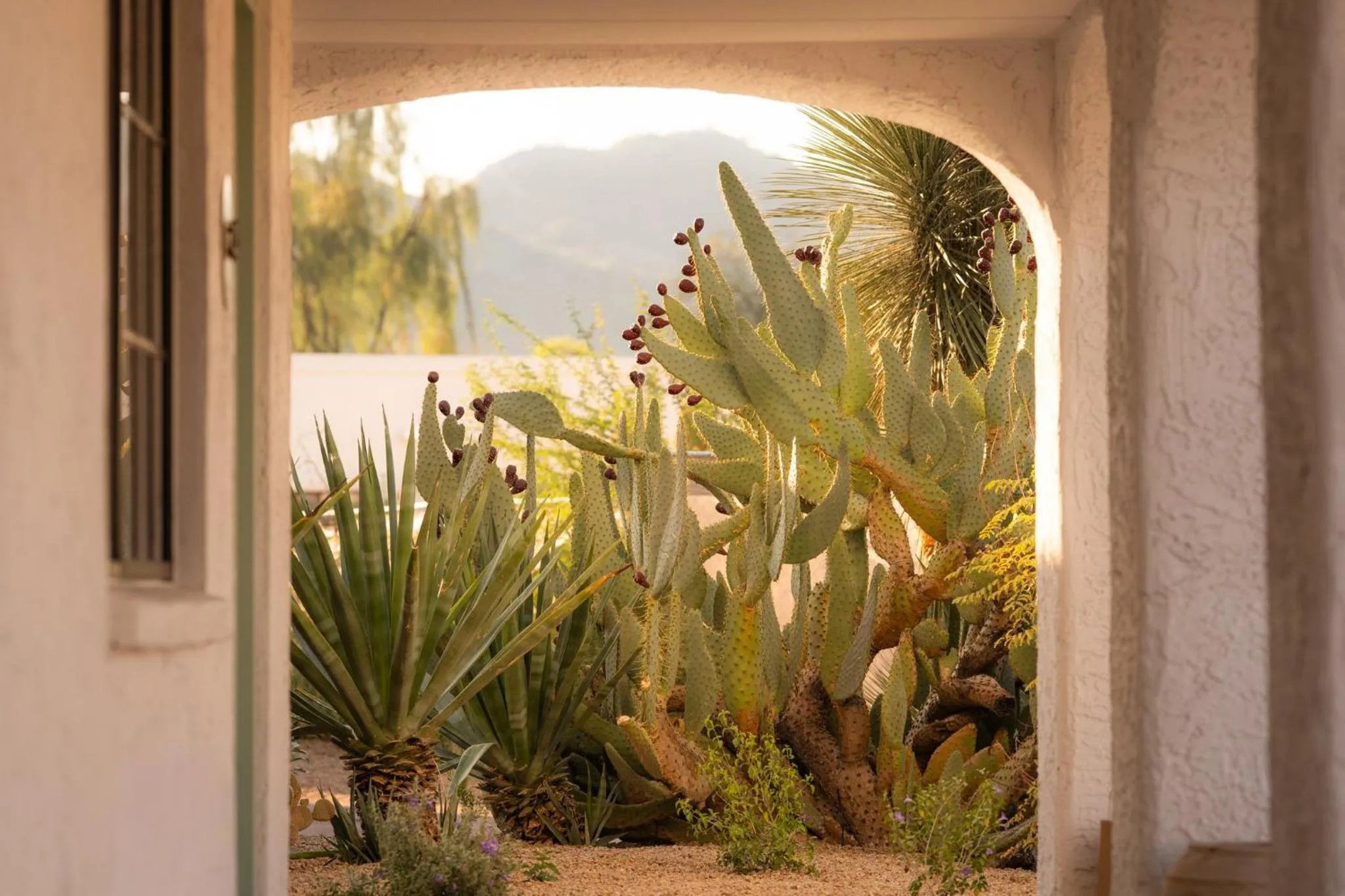 Other in Kimpton Miralina Resort and Villas by IHG