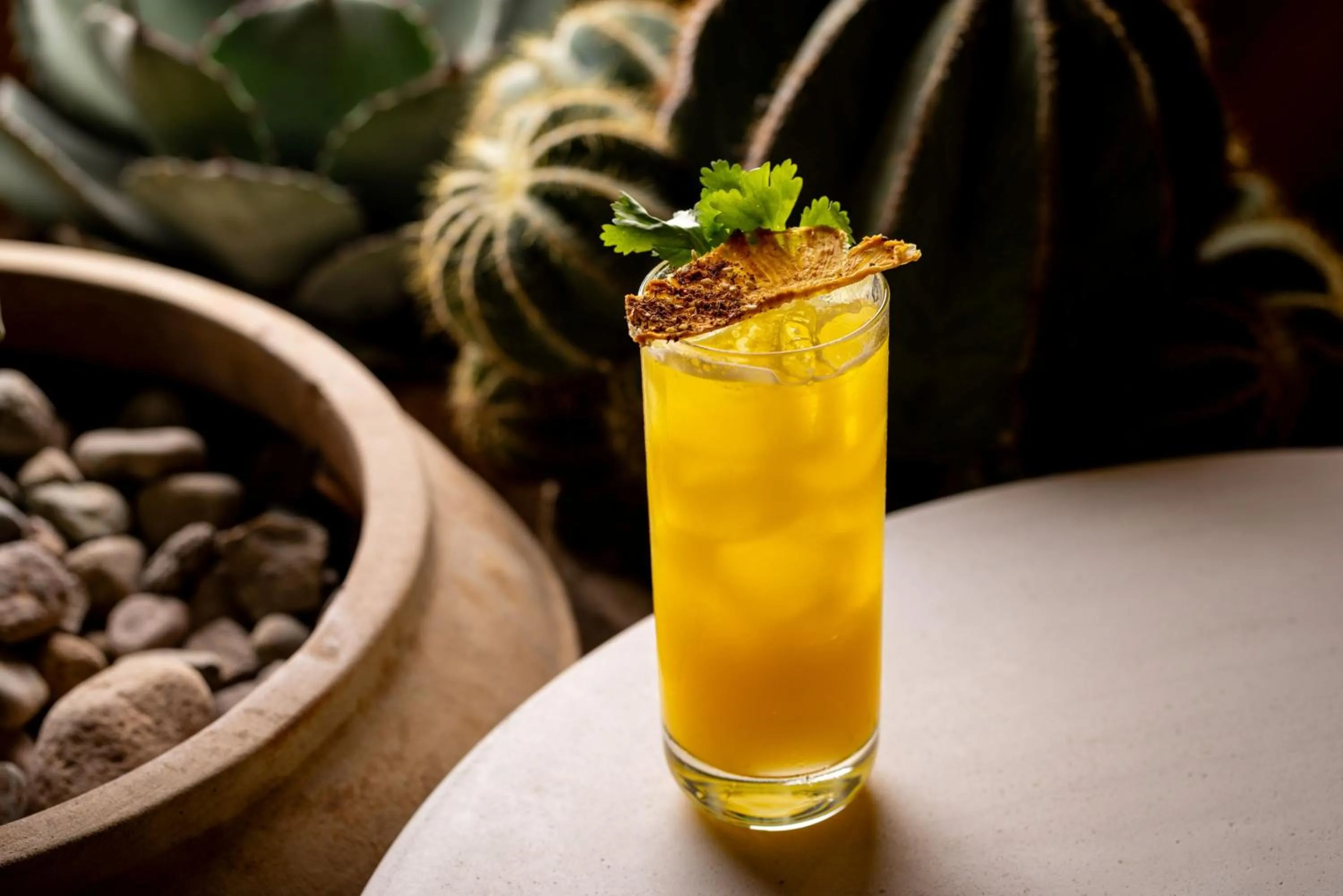 Photo of the whole room in Kimpton Miralina Resort and Villas by IHG