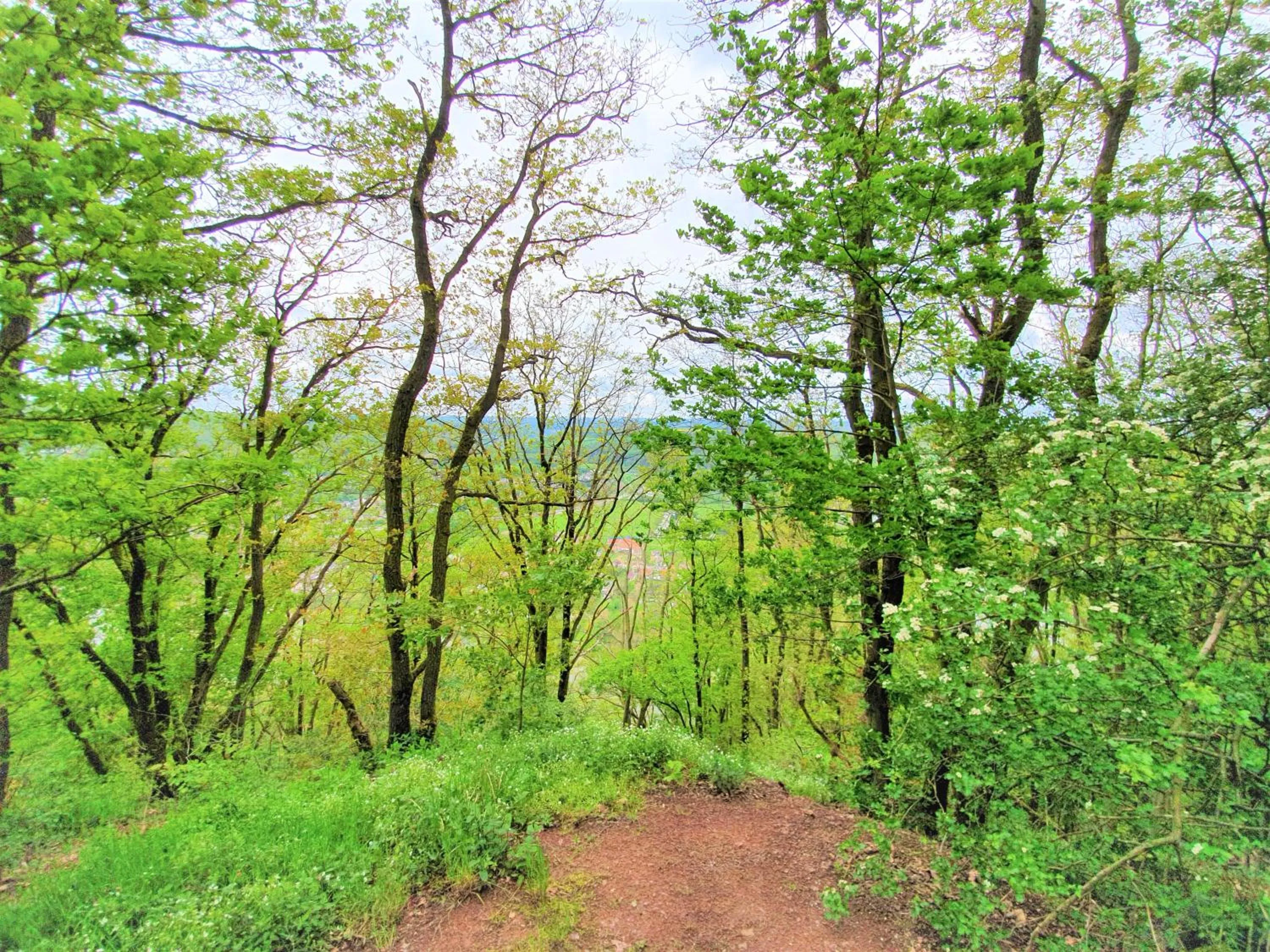 Natural landscape in LES 7 MEUSES - Restaurant & Hébergements HÔTELIERS - INSOLITES - WELLNESS - GÎTES