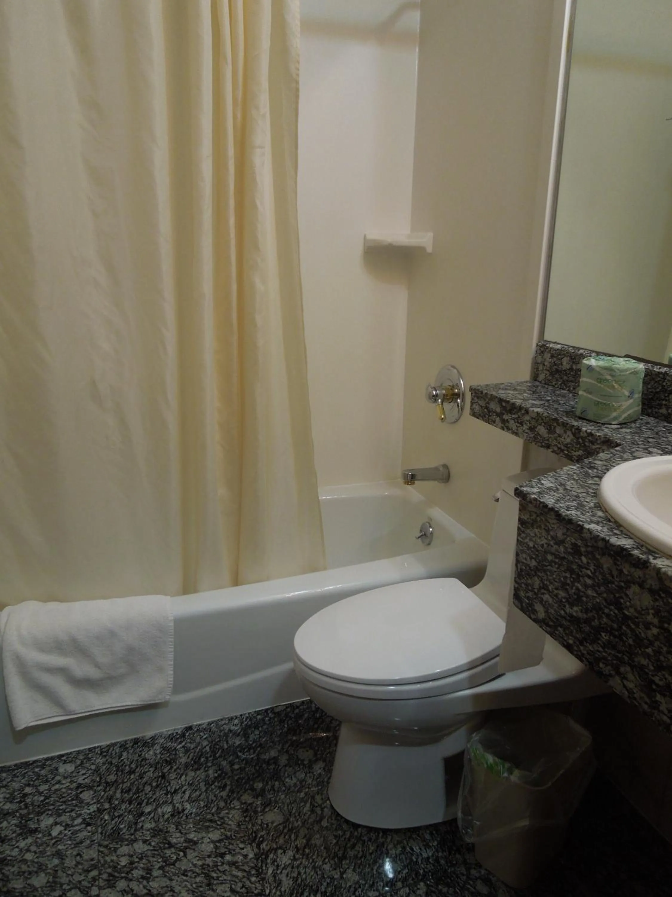 Bathroom in Red Carpet Inn Brooklyn