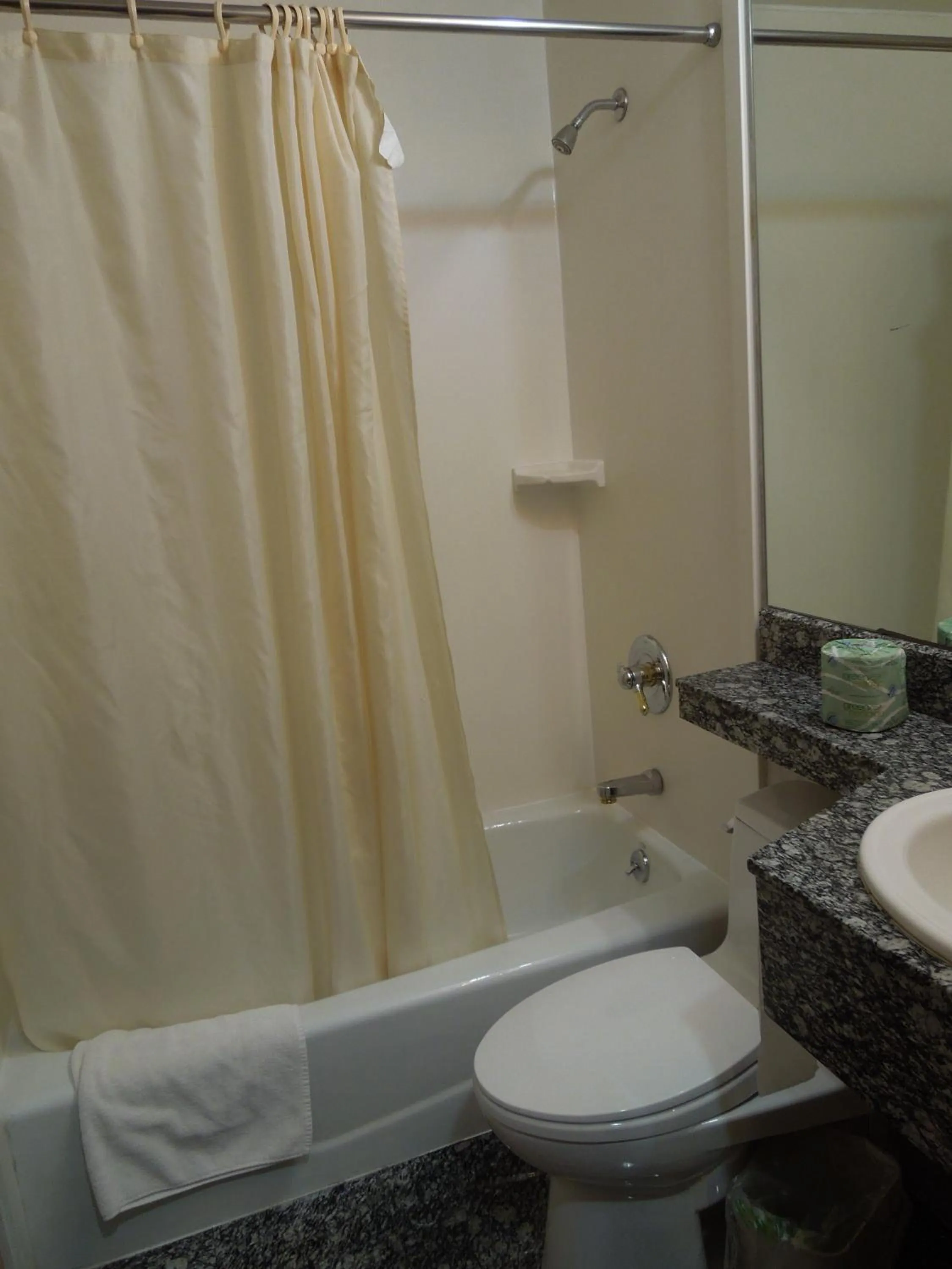 Bathroom in Red Carpet Inn Brooklyn