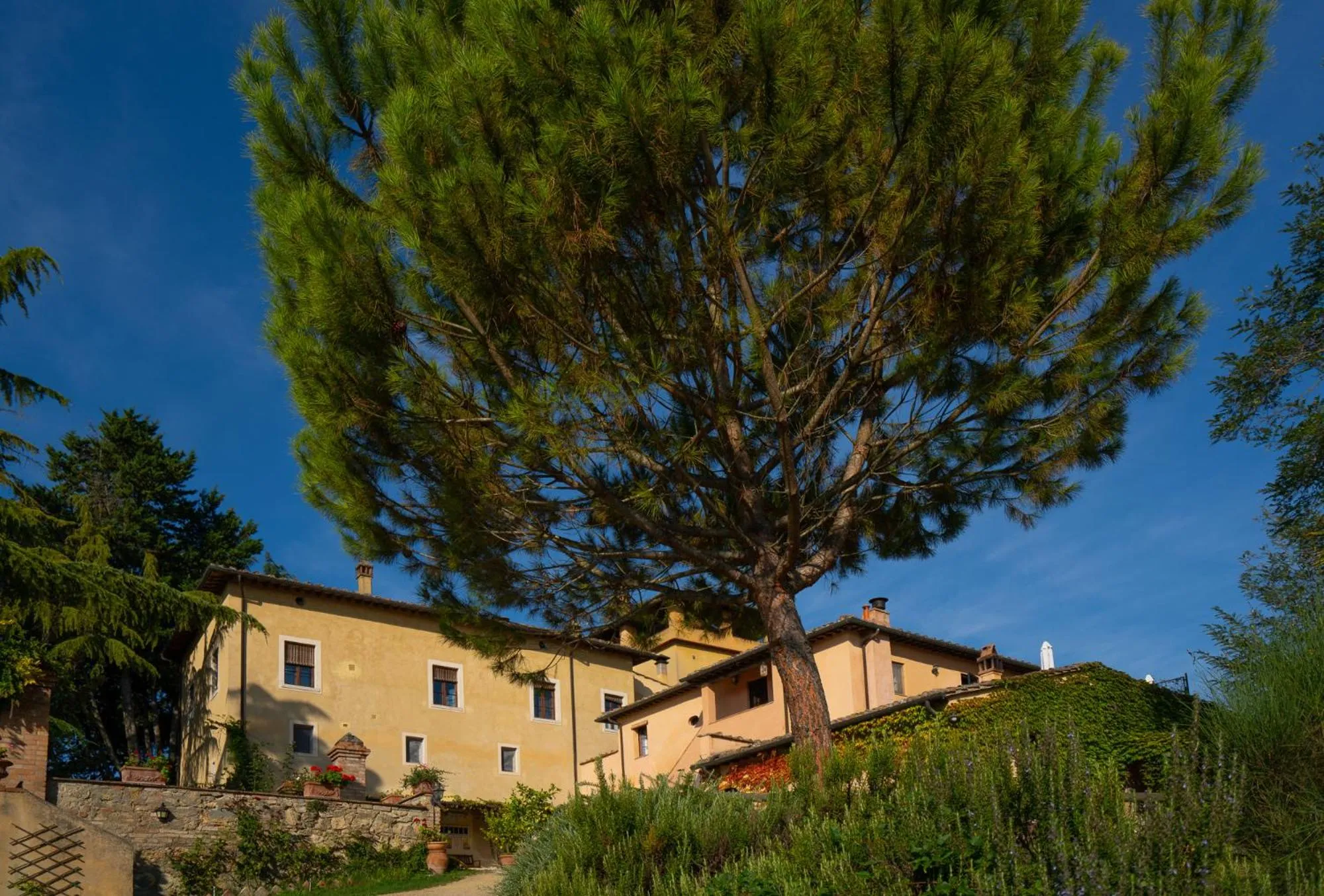 Facade/entrance in Torraccia di Chiusi Agriturismo Relais