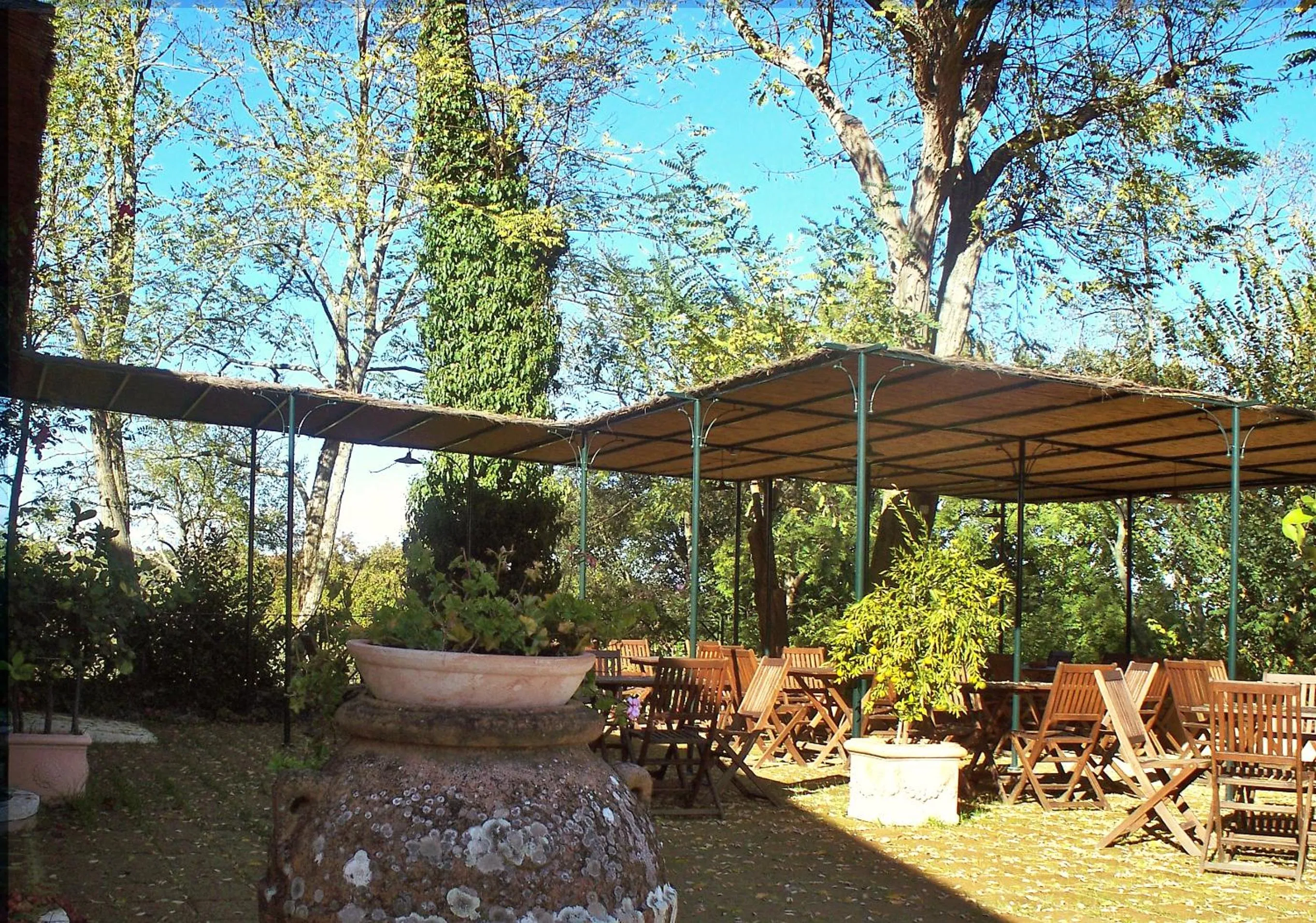 Restaurant/places to eat in Torraccia di Chiusi Agriturismo Relais