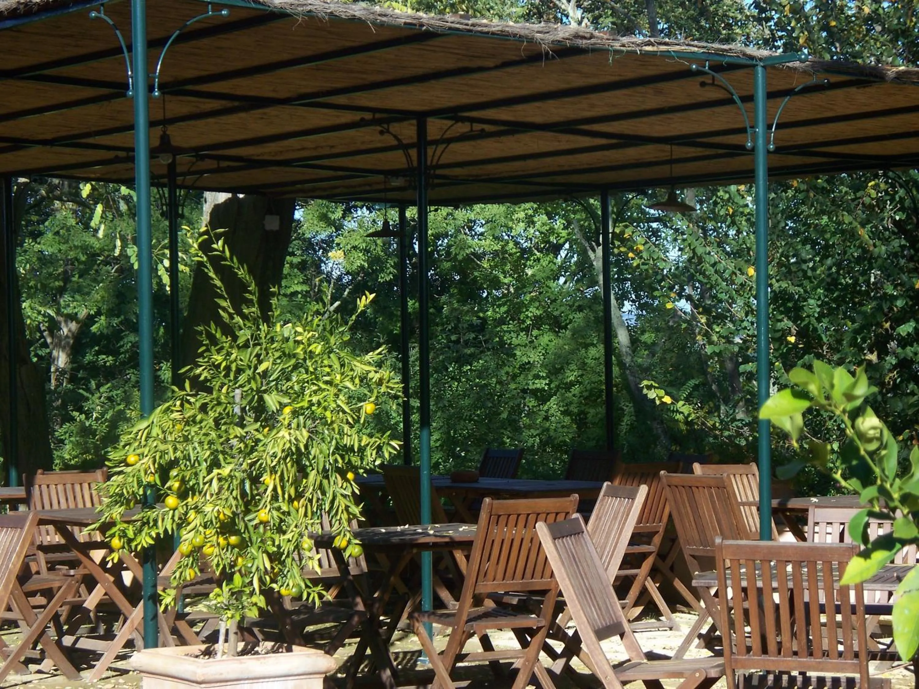 Restaurant/places to eat in Torraccia di Chiusi Agriturismo Relais