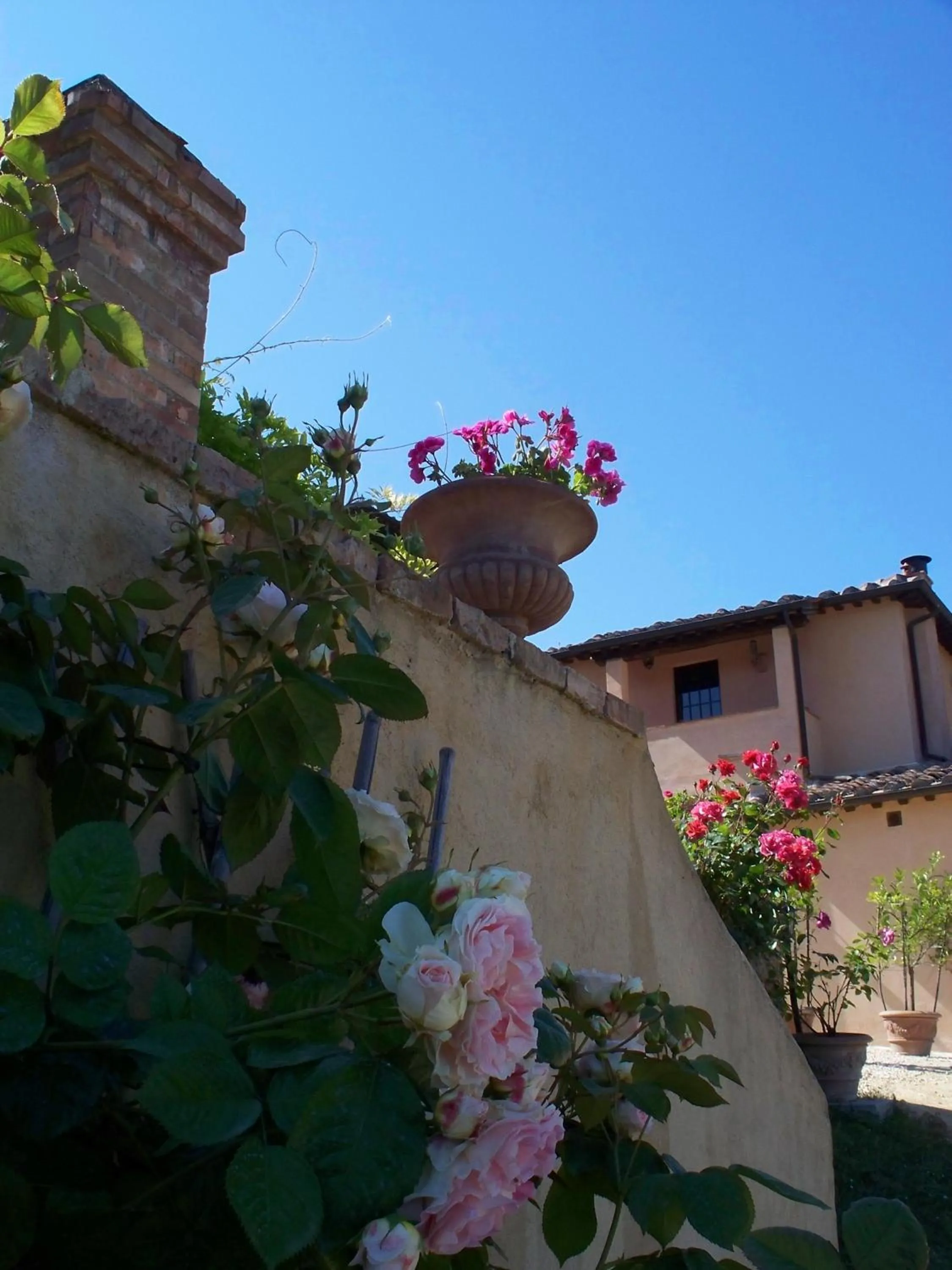 Facade/entrance in Torraccia di Chiusi Agriturismo Relais