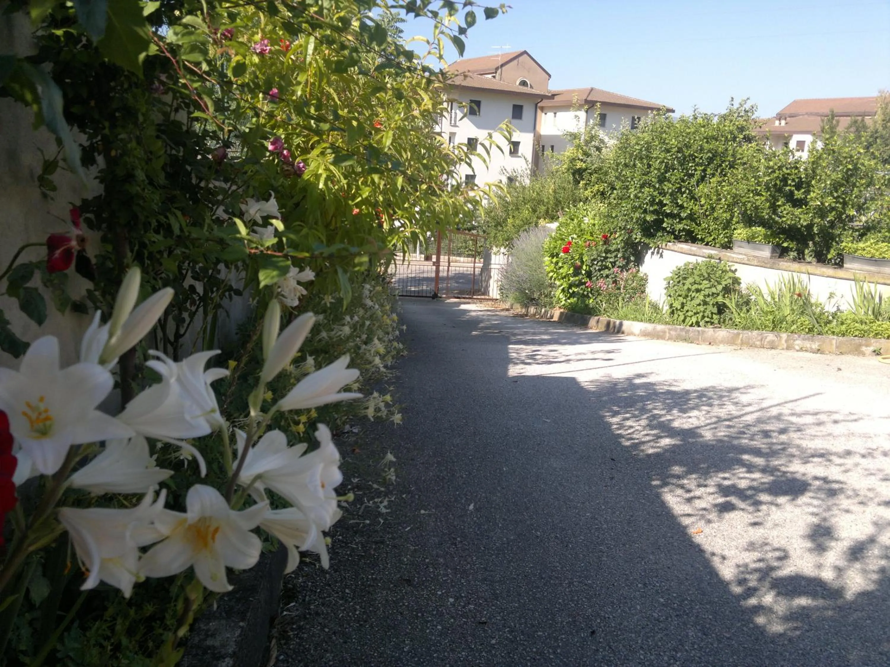 Area and facilities in B&B L'Aquila