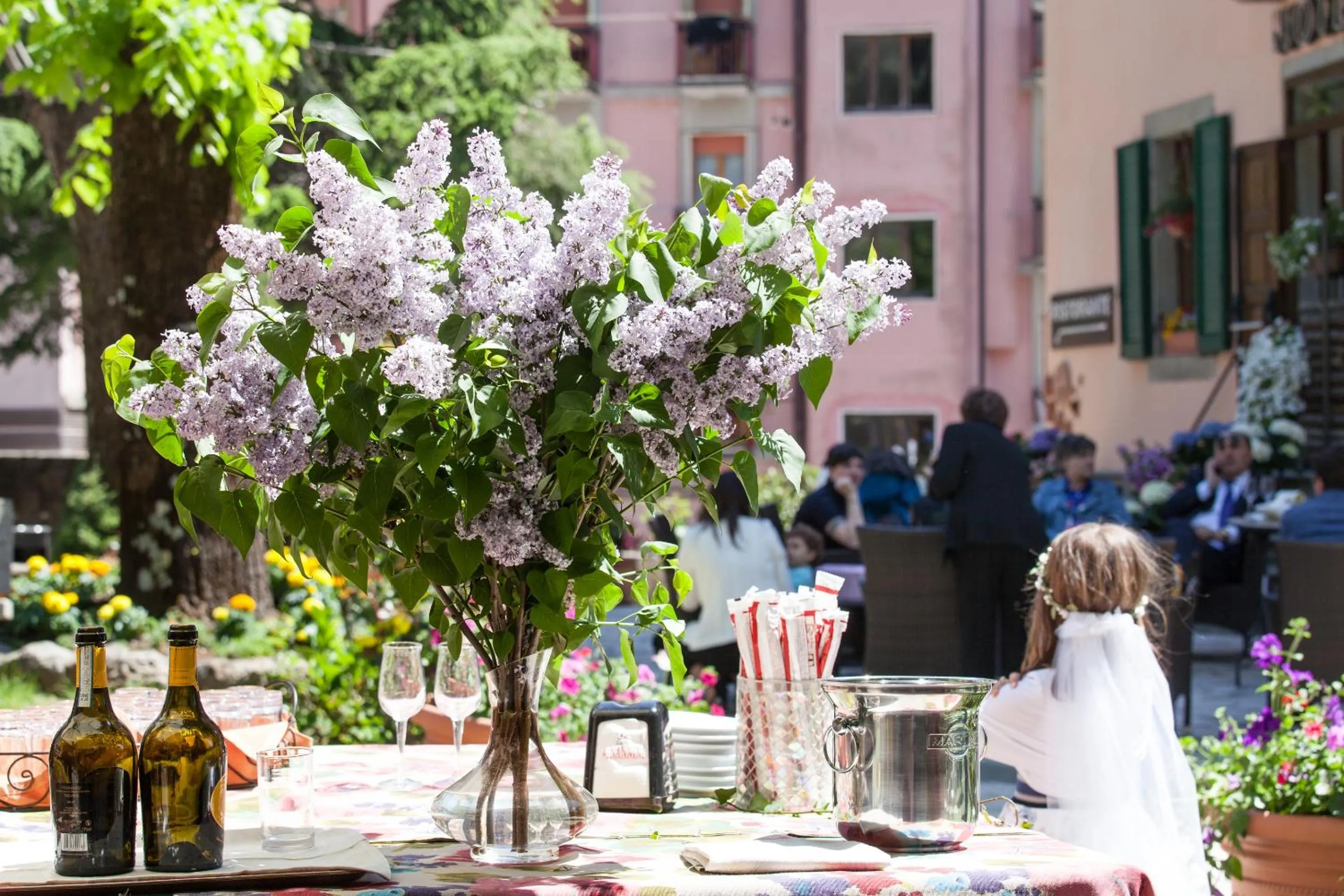 Garden in Hotel Fabbrini